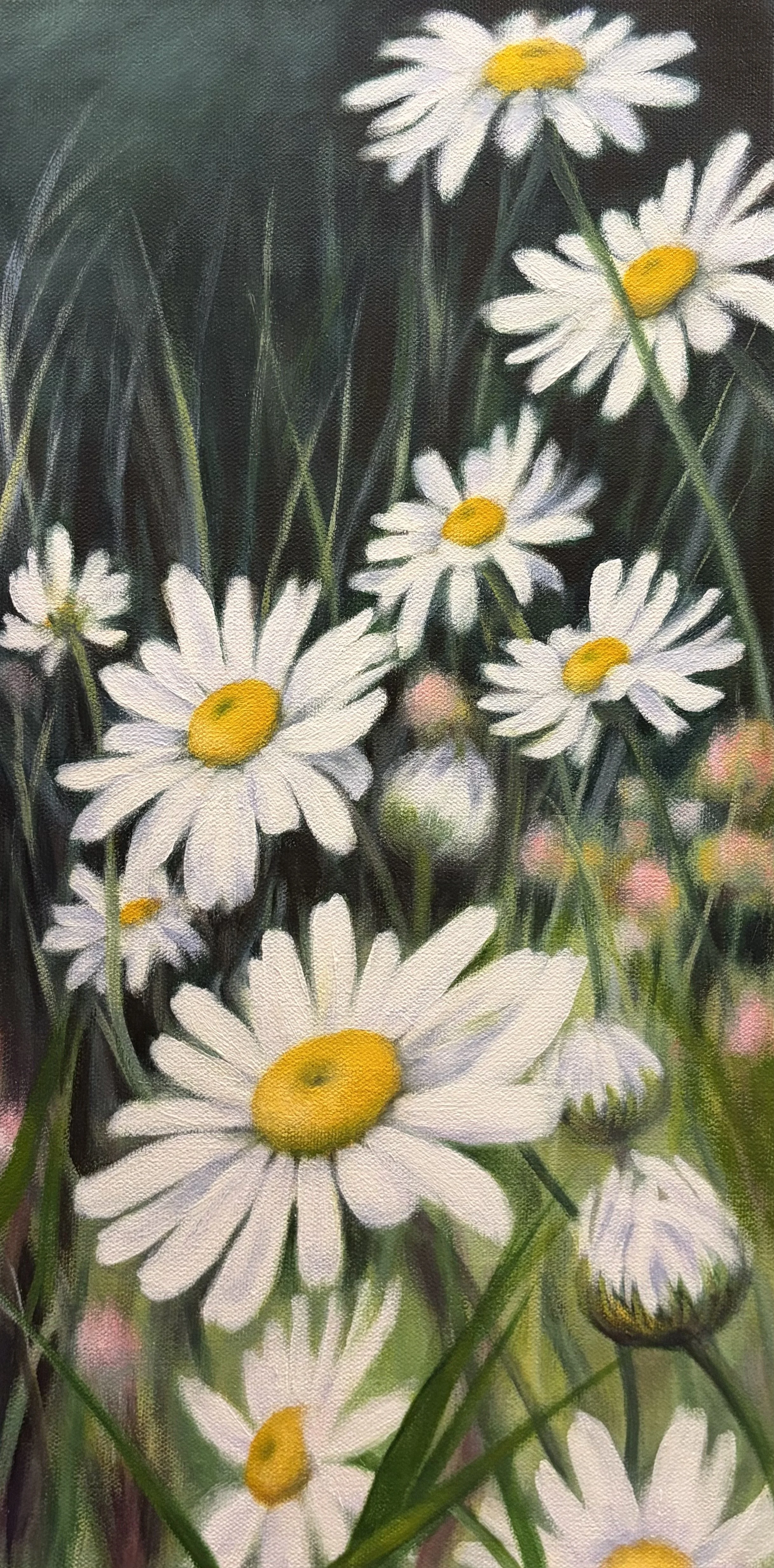 Lazy Daisies