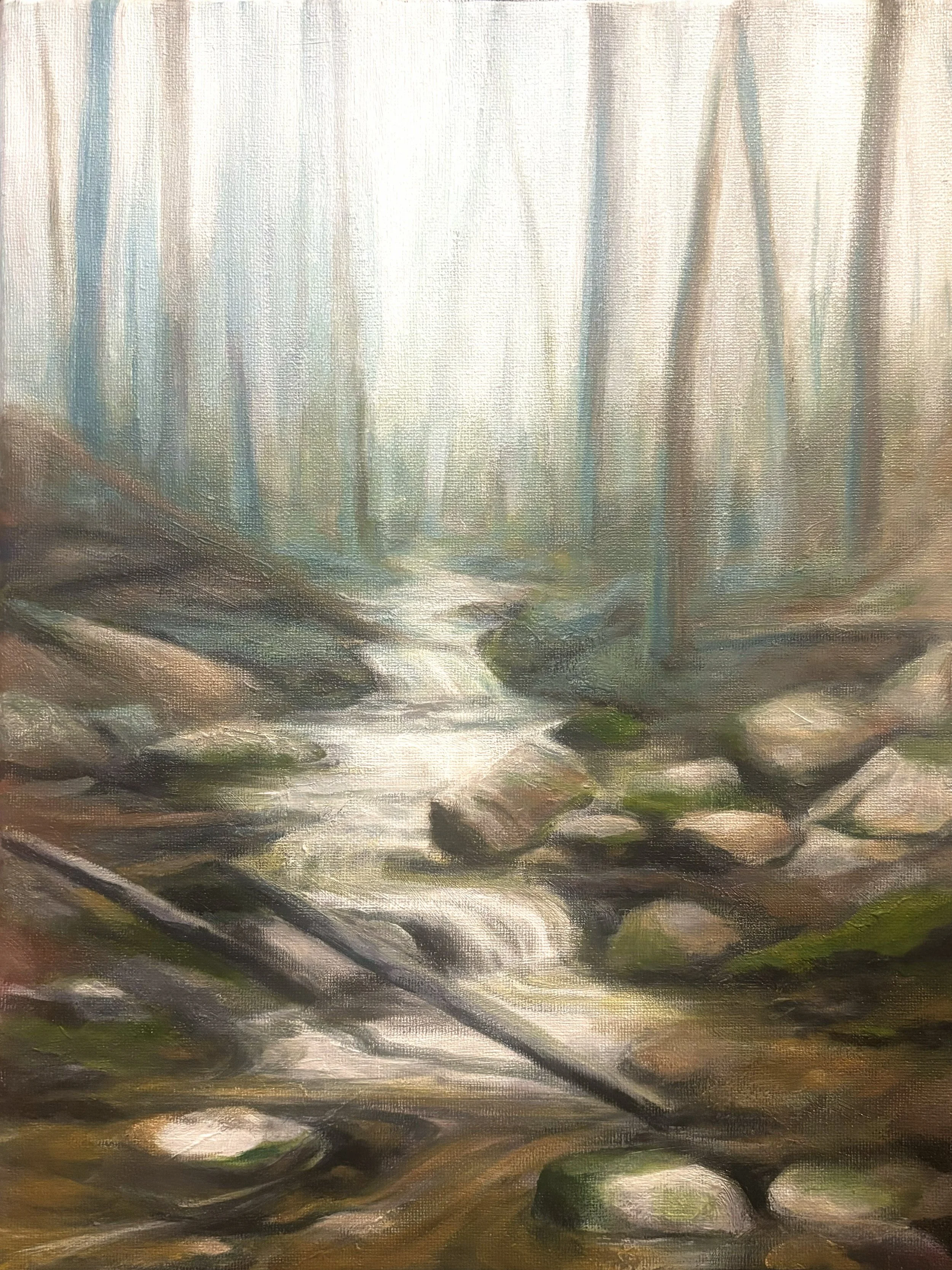 Mystery Brook, 11x14.jpeg
