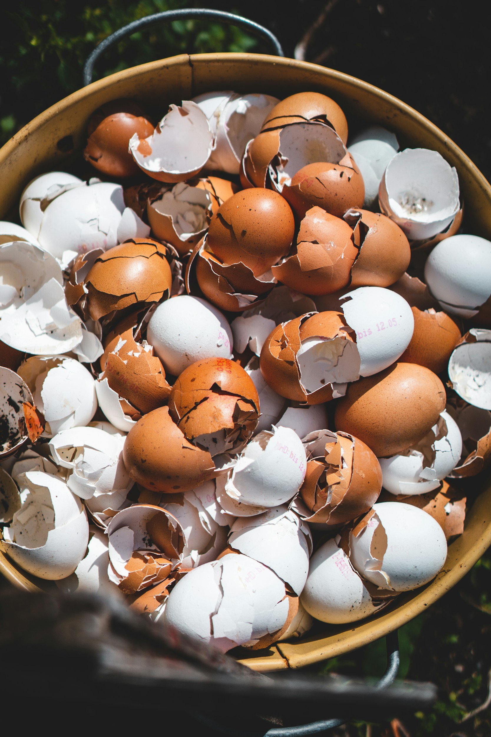 Image of brown and white cracked egg shells in a brown bucket with silver handles.