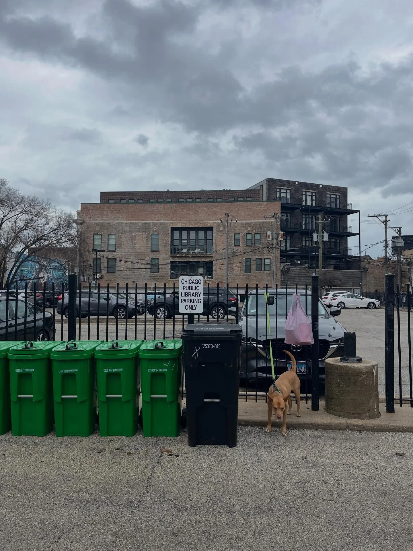 Hear me out... composting and birthwork are related! As a doula, I see my work as holistic - how do I support the whole person through their pregnancy, birth and postpartum journey. That includes doing my small part to make our community a little bet