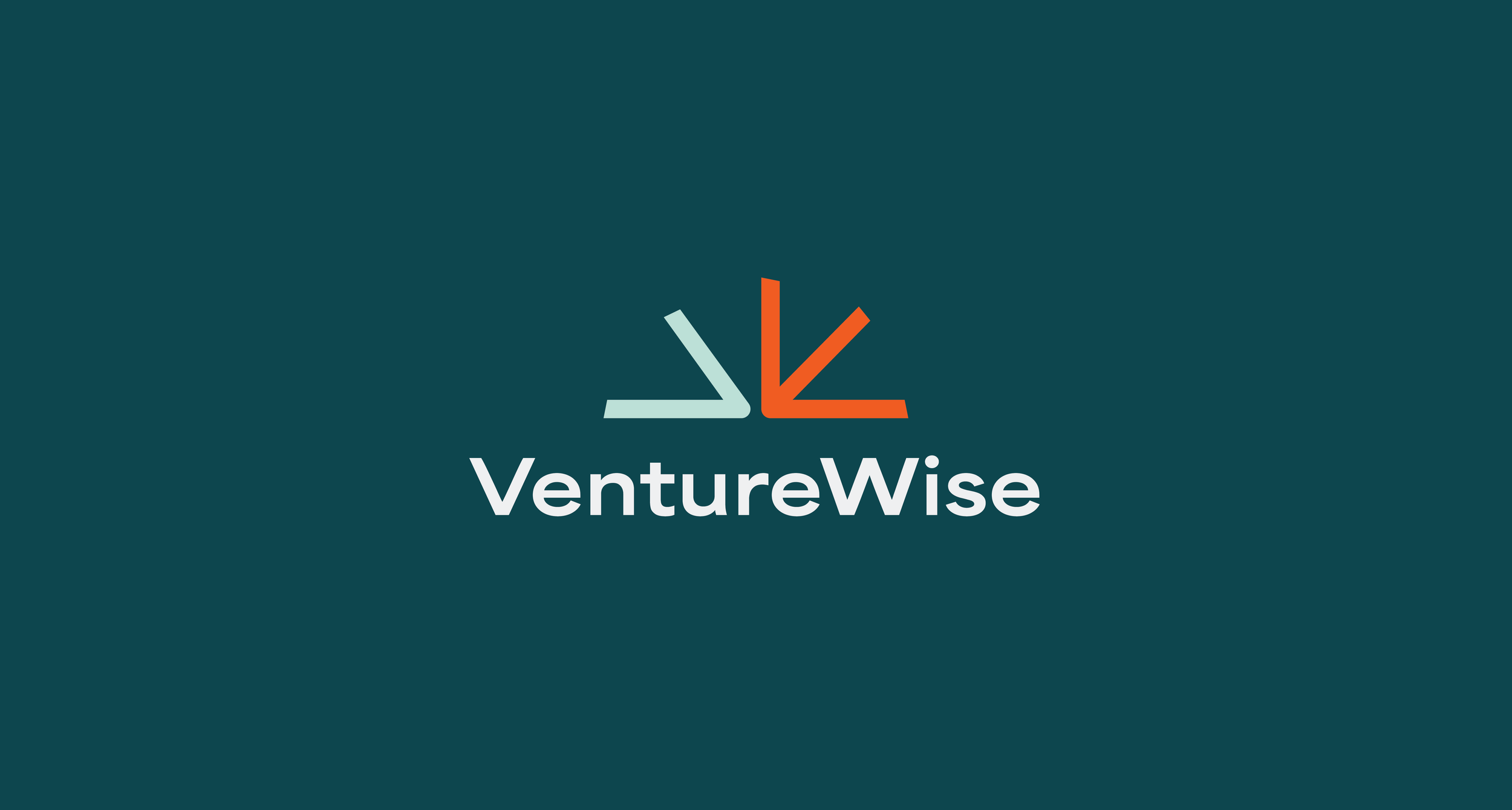 VentureWise  |  Logo + Branding