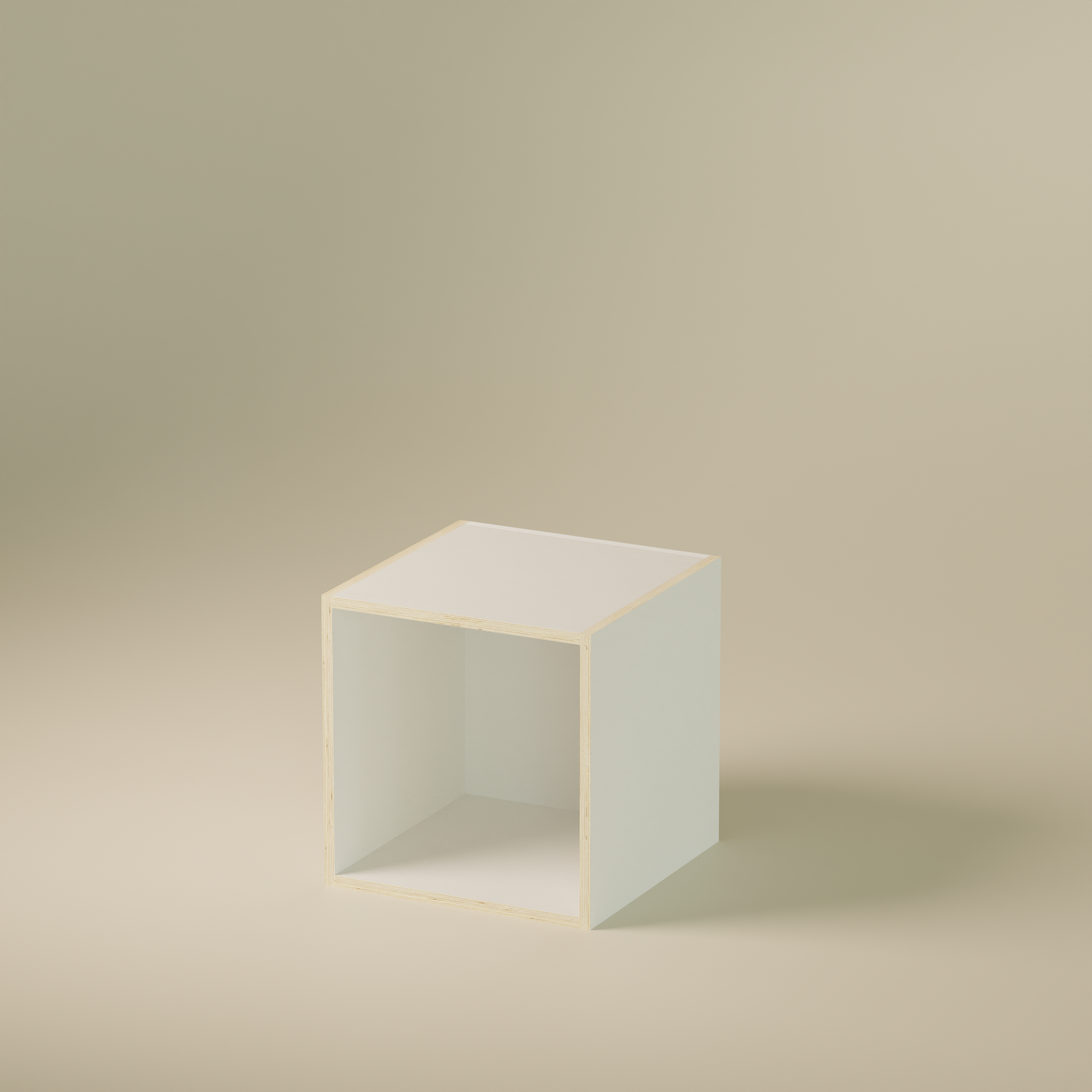 13_White 1.png