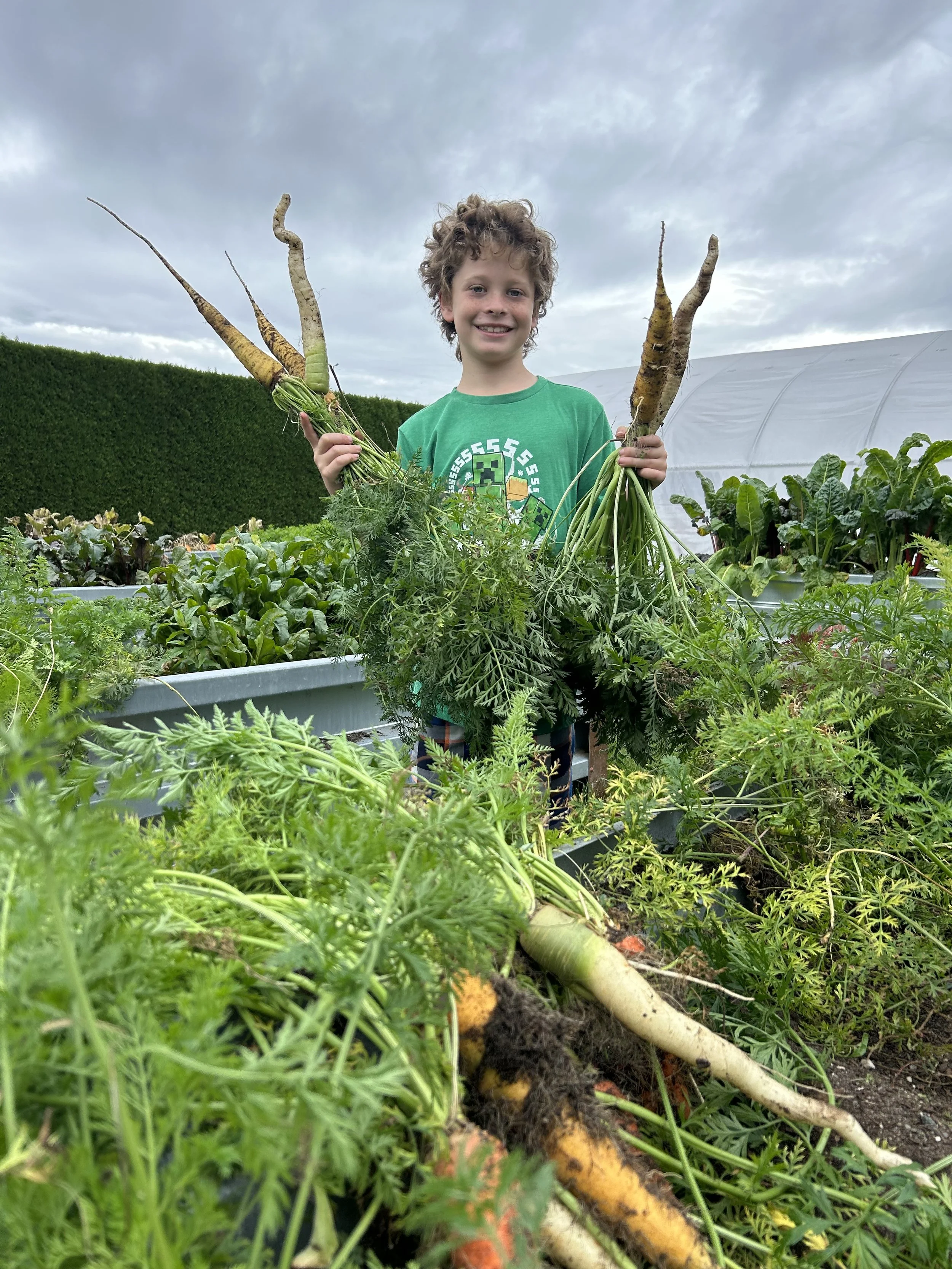 Tanglebank Estate - Friends of the Garden