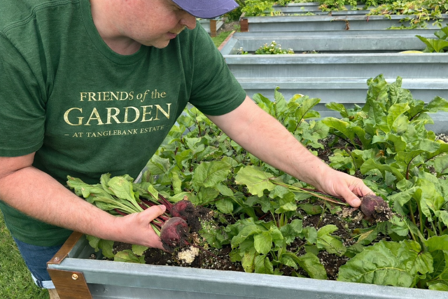 Friends-of-the-Garden-Tanglebank-Estate