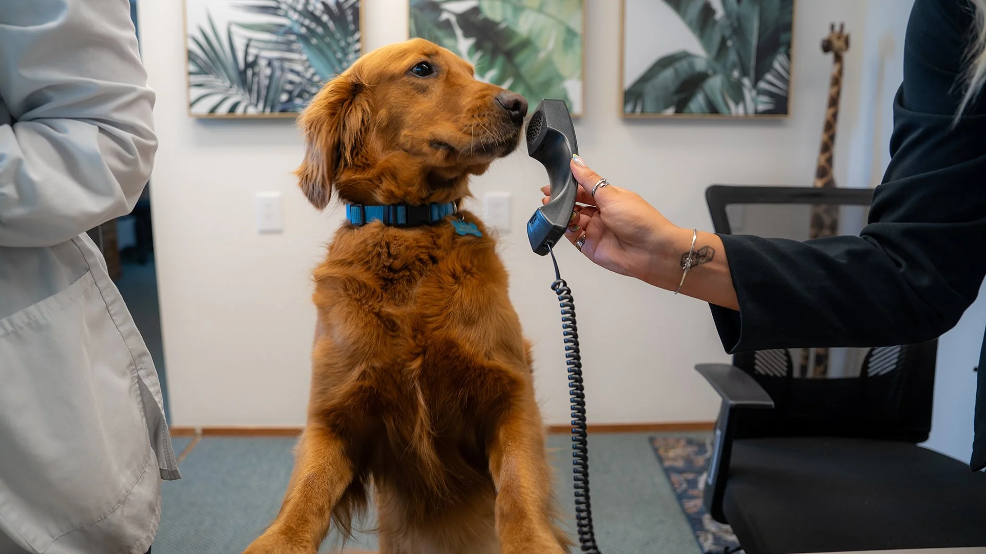 Let’s talk communication!