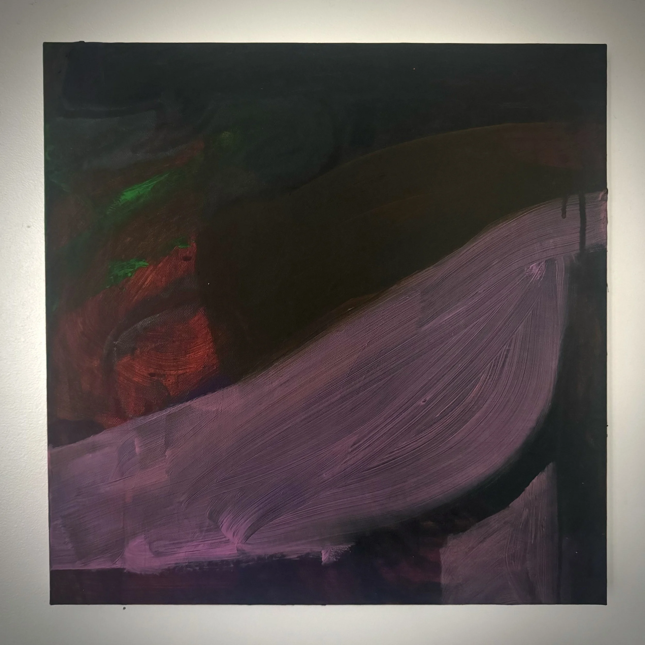 Sleeping dove, 2026, Oil and acrylic on canvas, 18 x 18 inches