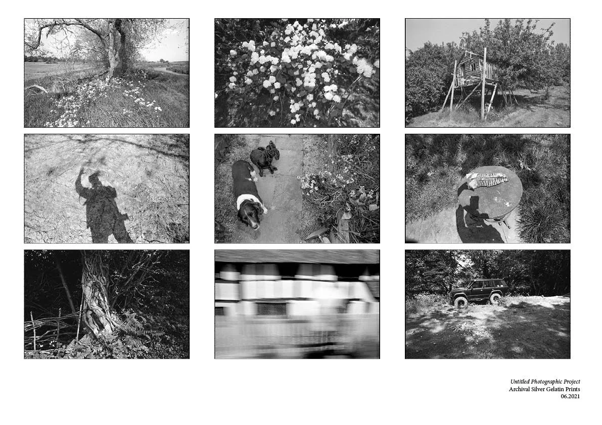 Nicholas Palfrey Portfolio 04.20244.jpg