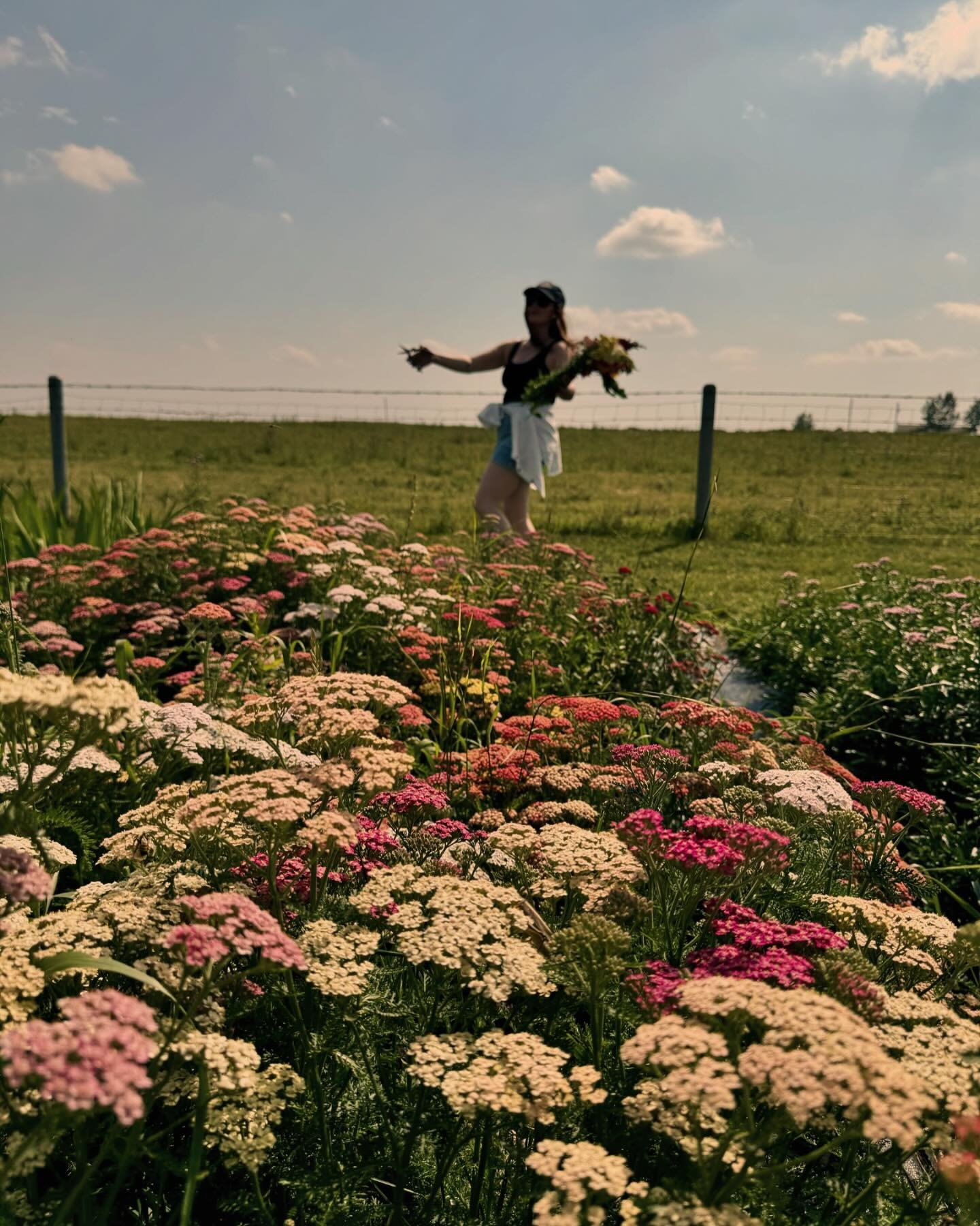 Unsolicited advice: spend a Sunday afternoon at a flower farm with a dear friend for a guaranteed healing experience you didn&rsquo;t know you needed 👍🌸🌻🌺