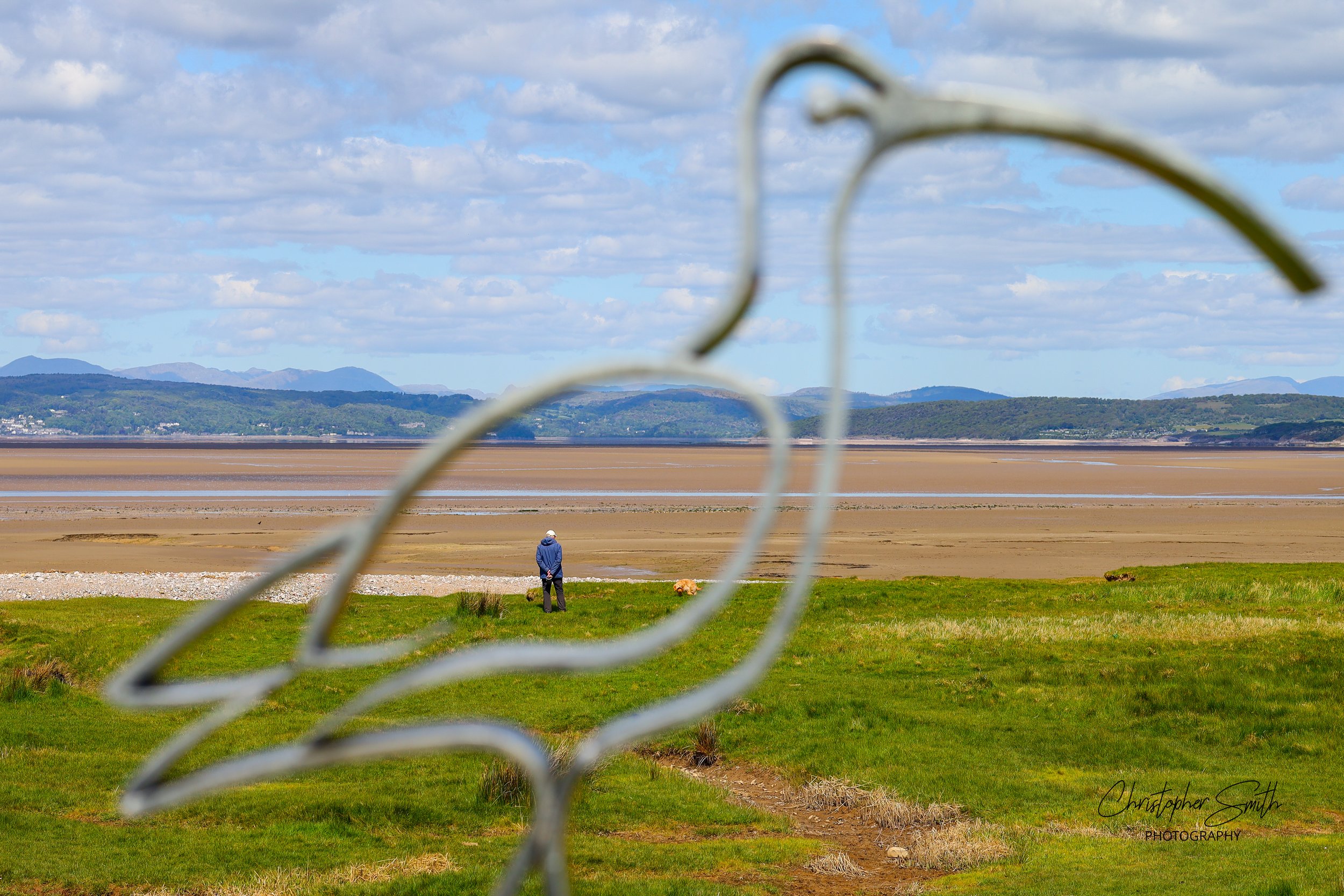 Walking The Dog, Morecambe Bay, England, May 2026 (Canon RP, 85mm, f/6.3, 1/640s, ISO100)