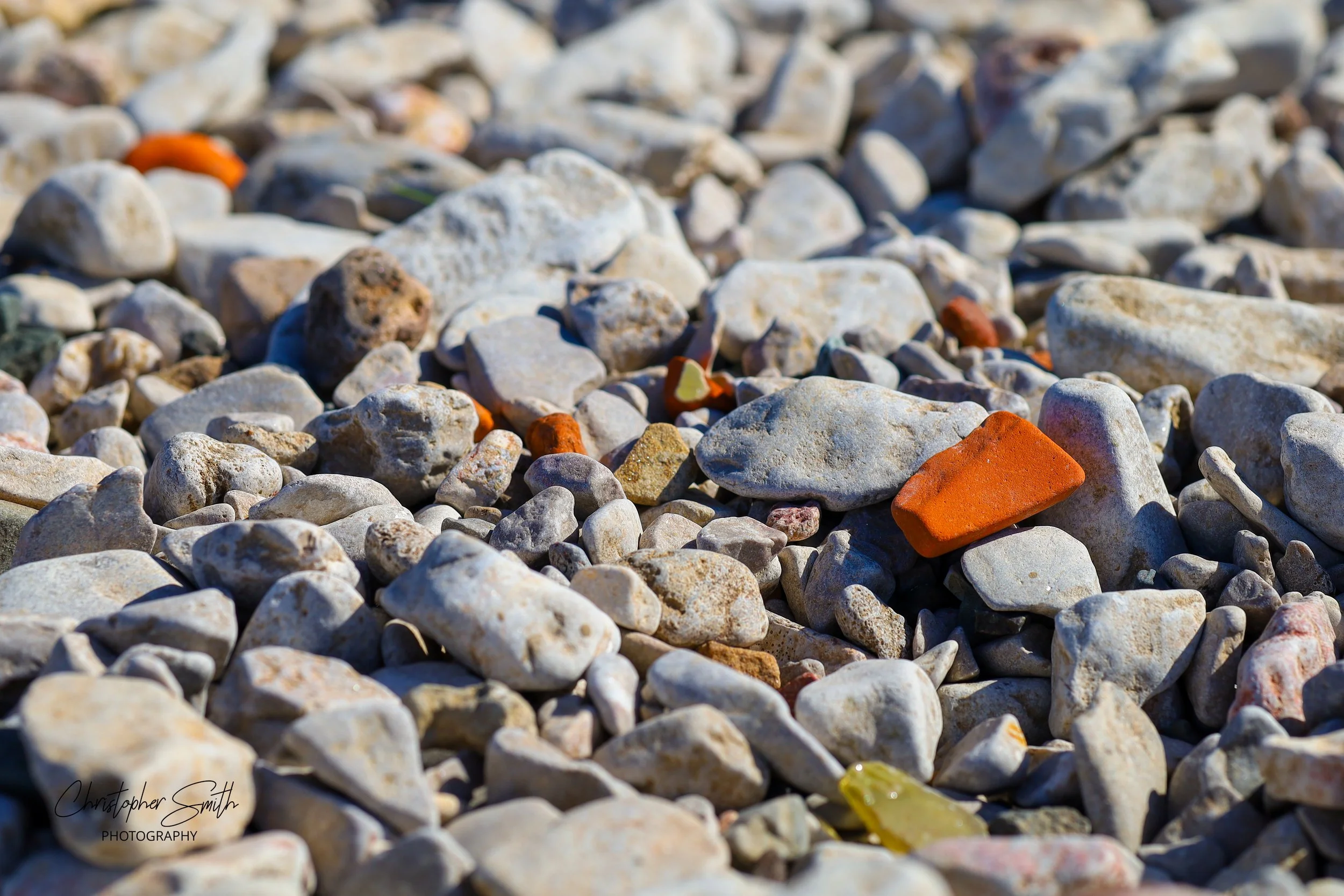 Terracotta Shards, Morecambe Bay, England, May 2026 (Canon RP, 85mm, f/6.3, 1/500s, ISO100)