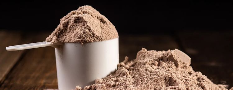 protein powder supplements