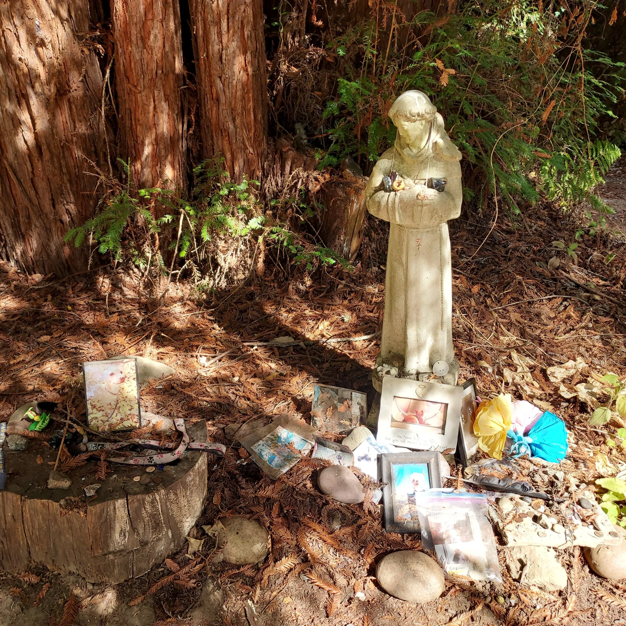 St Francis.jpg
