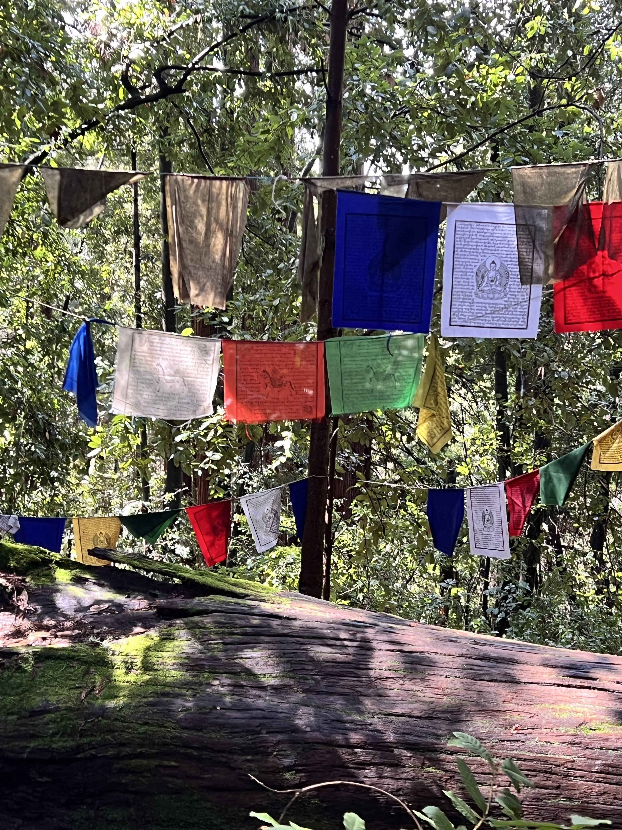 Prayer Flags.jpeg
