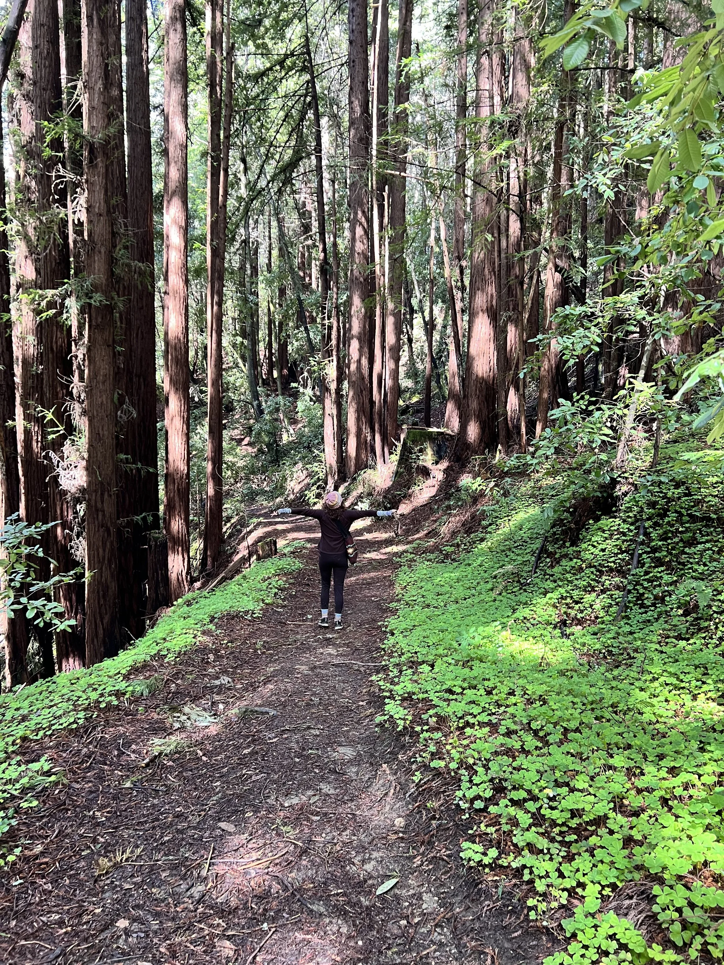 Trail and Hiker.jpeg