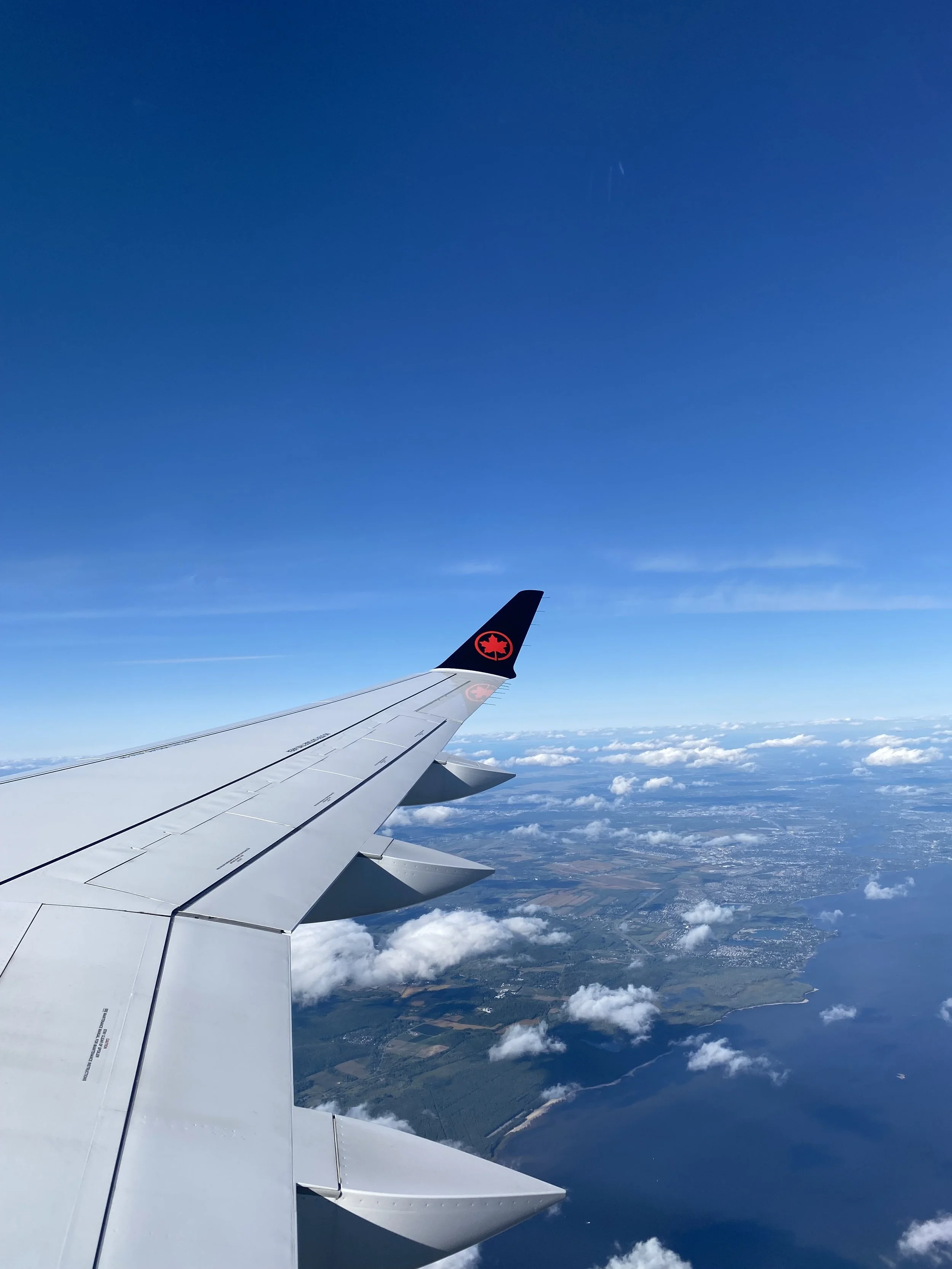 View from airplane window showing airplane wing with airline's logo against a blue sky with some clouds and land below.