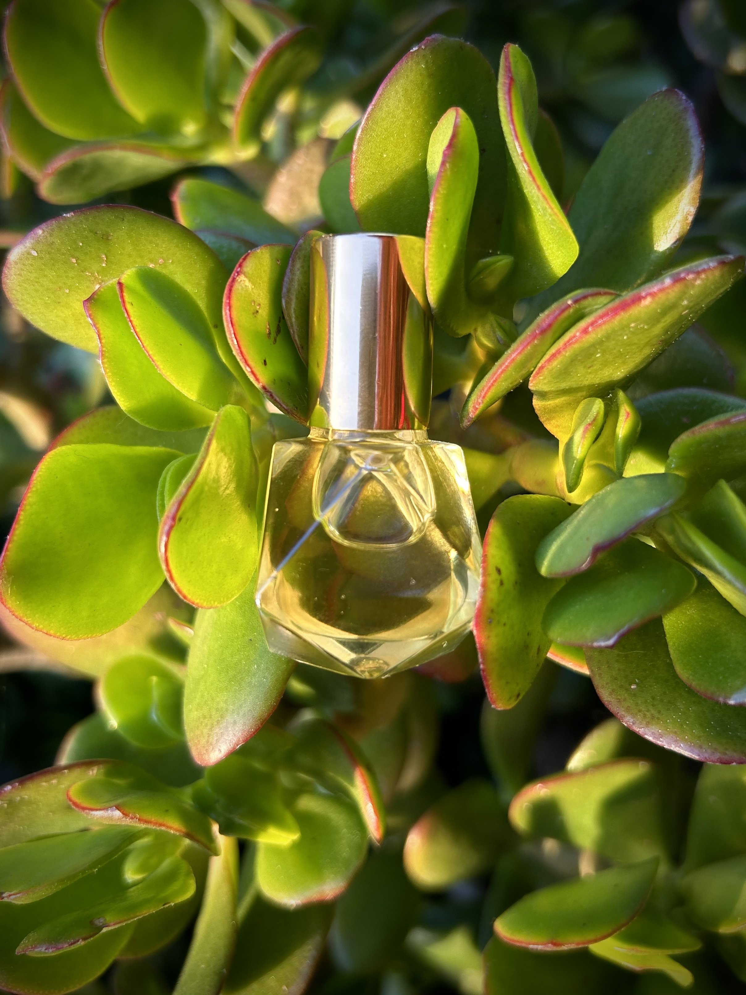 Jasmine Perfume Oil