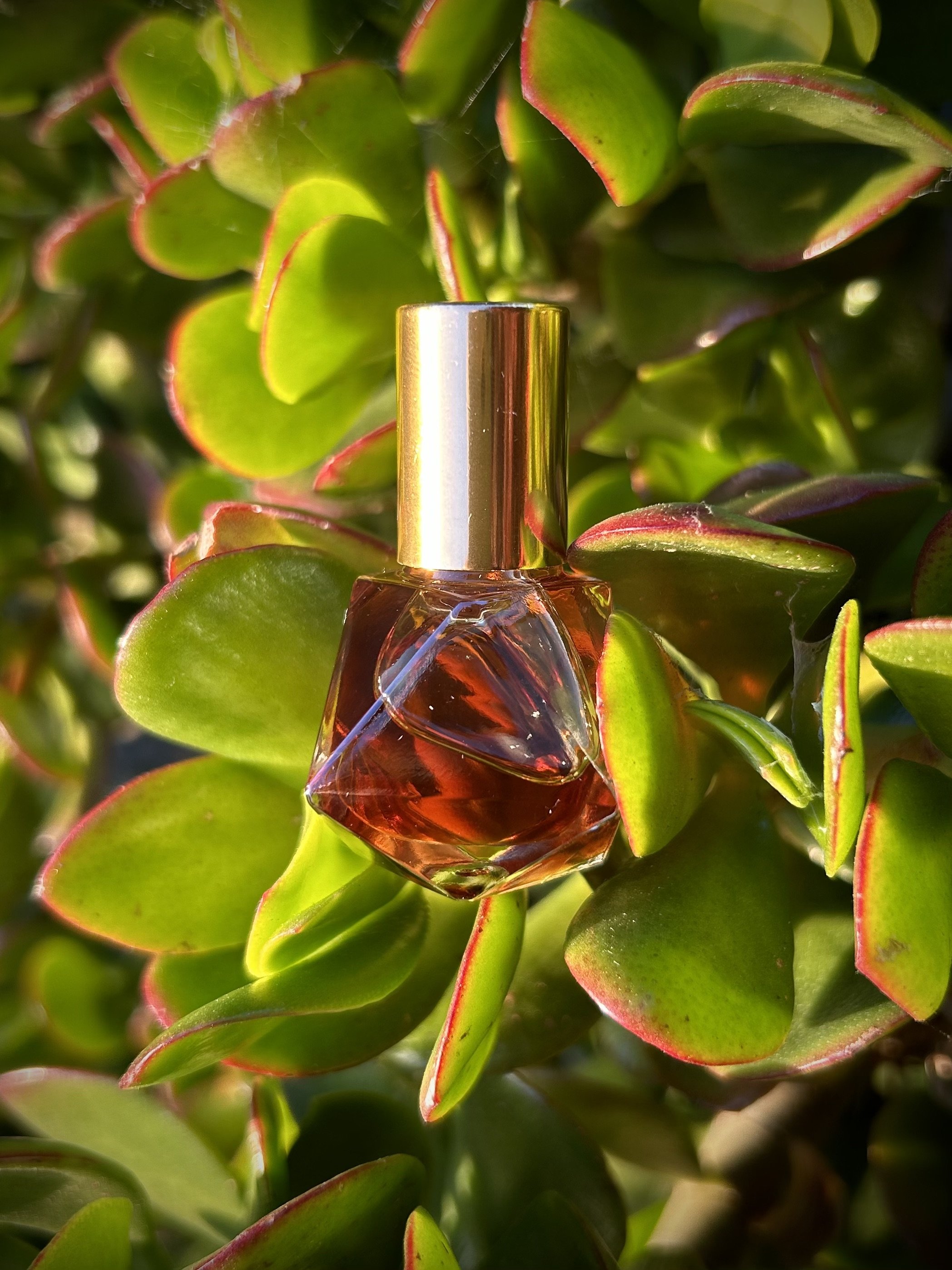 Frankincense Perfume Oil