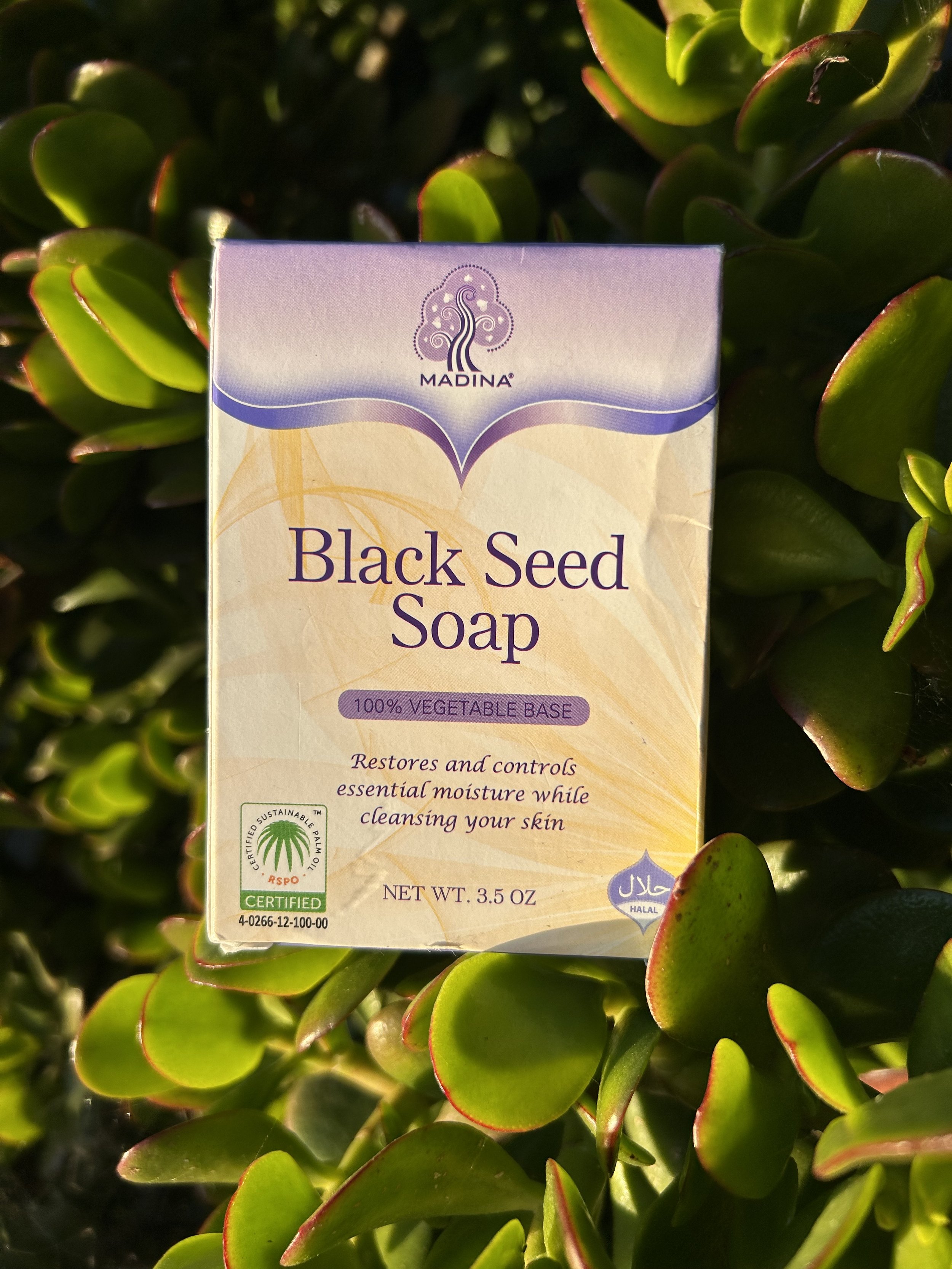 Black Seed Soap