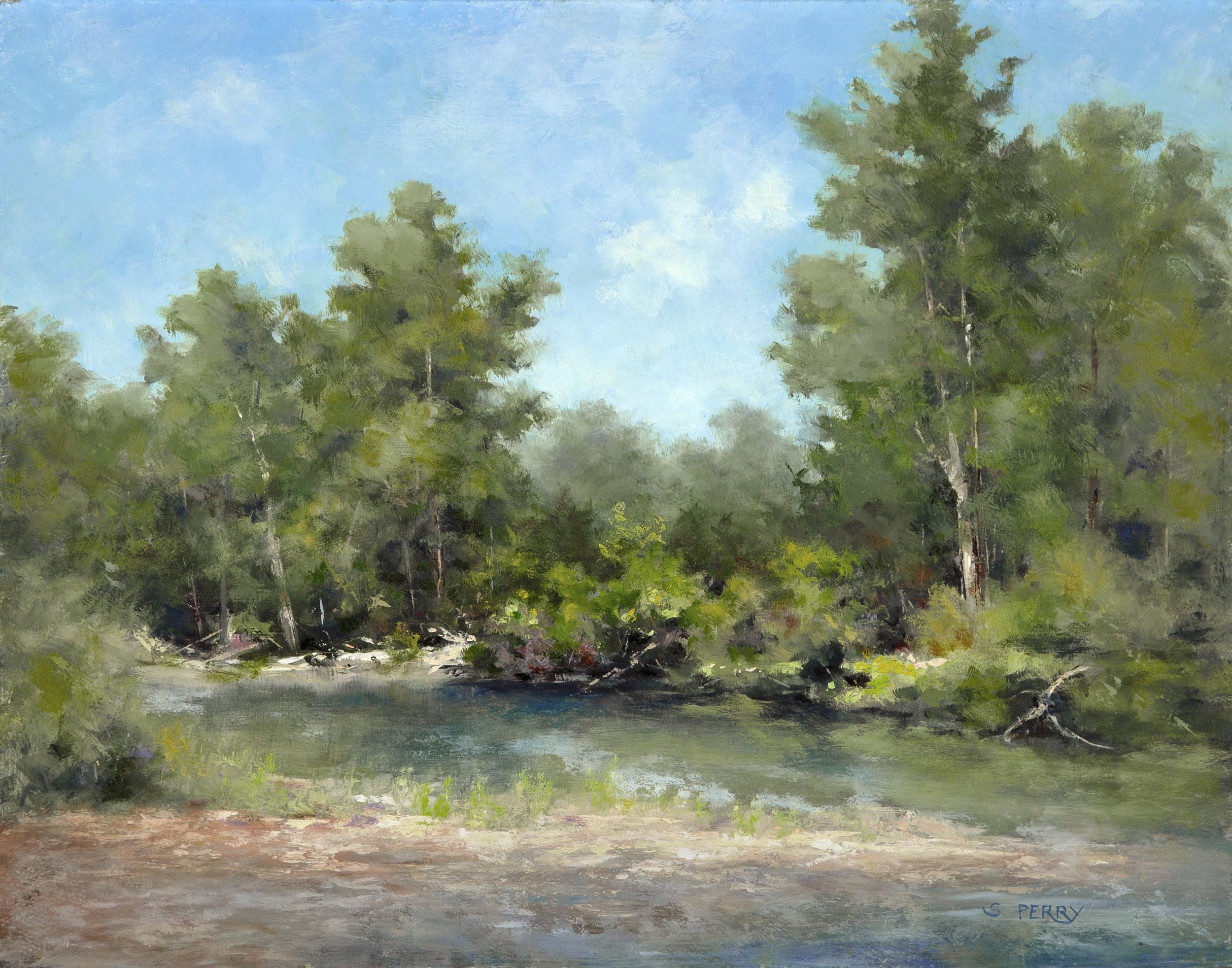 Gallatin River at Axtell Crossing      
    11x14 oil on panel