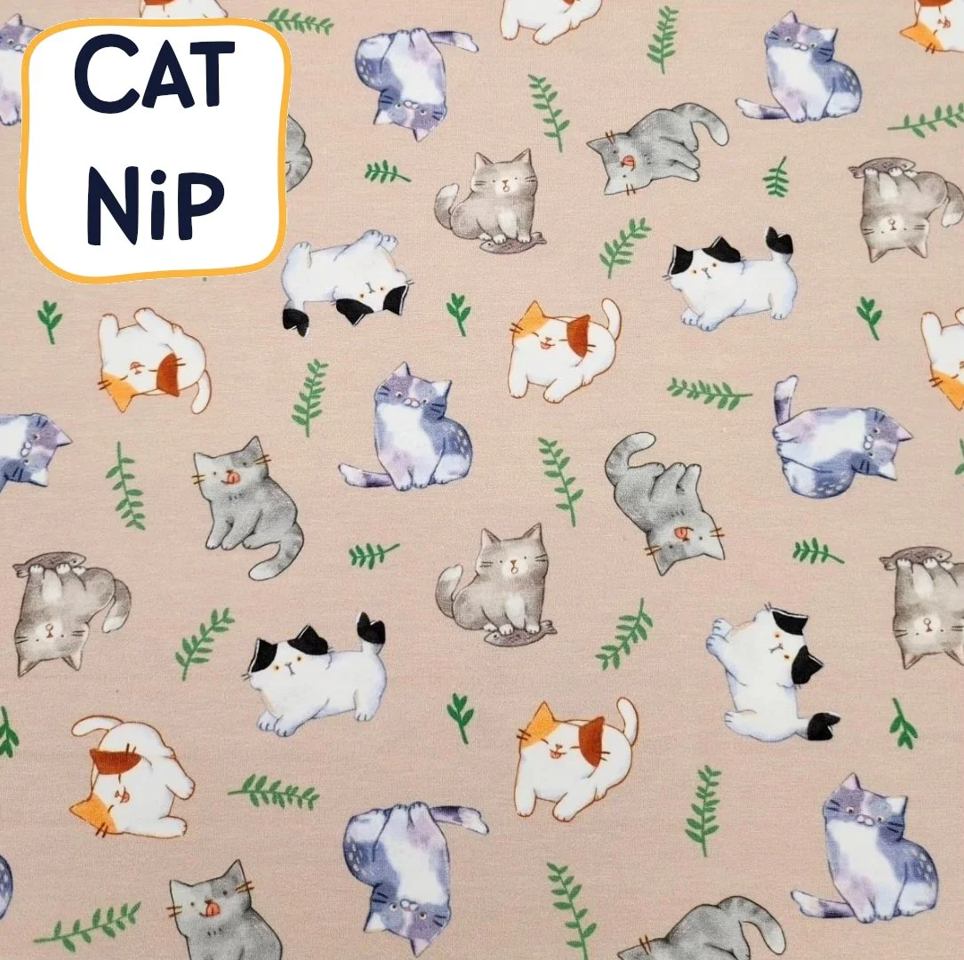 cat_nip.jpeg