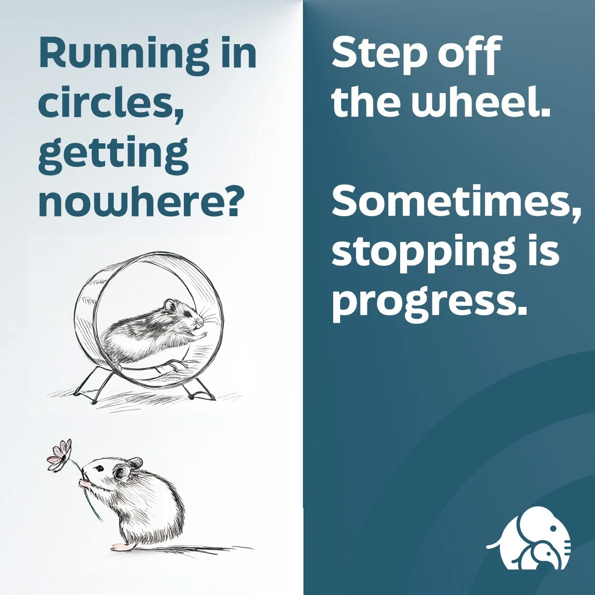 240922 - Ellie - hamster wheel.jpg