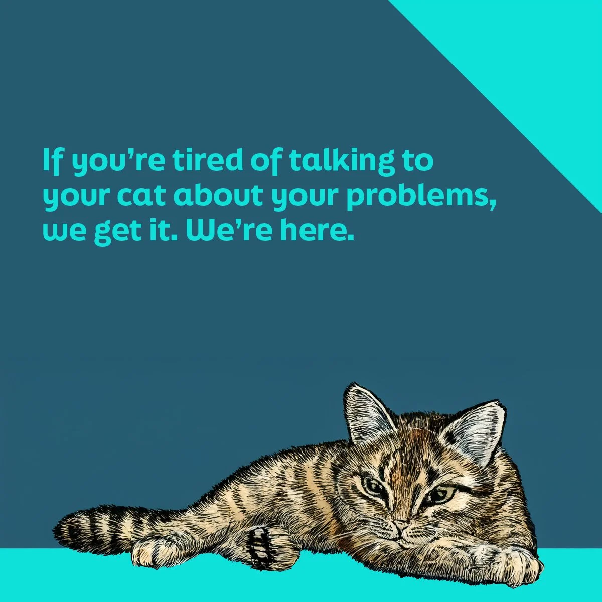 052125_Ellie_talking to your cat.jpg