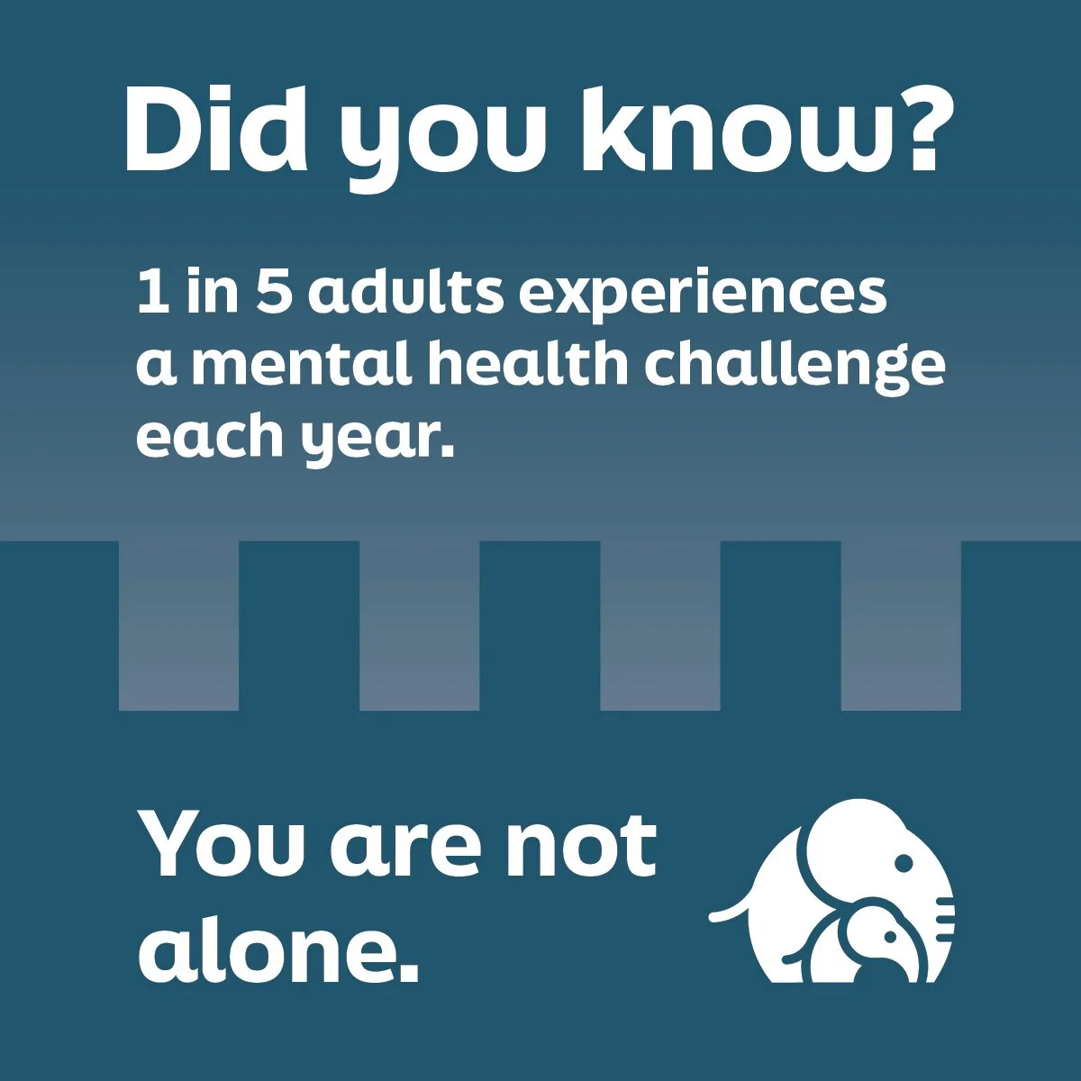 250815_Ellie_1 in 5 adults.jpg