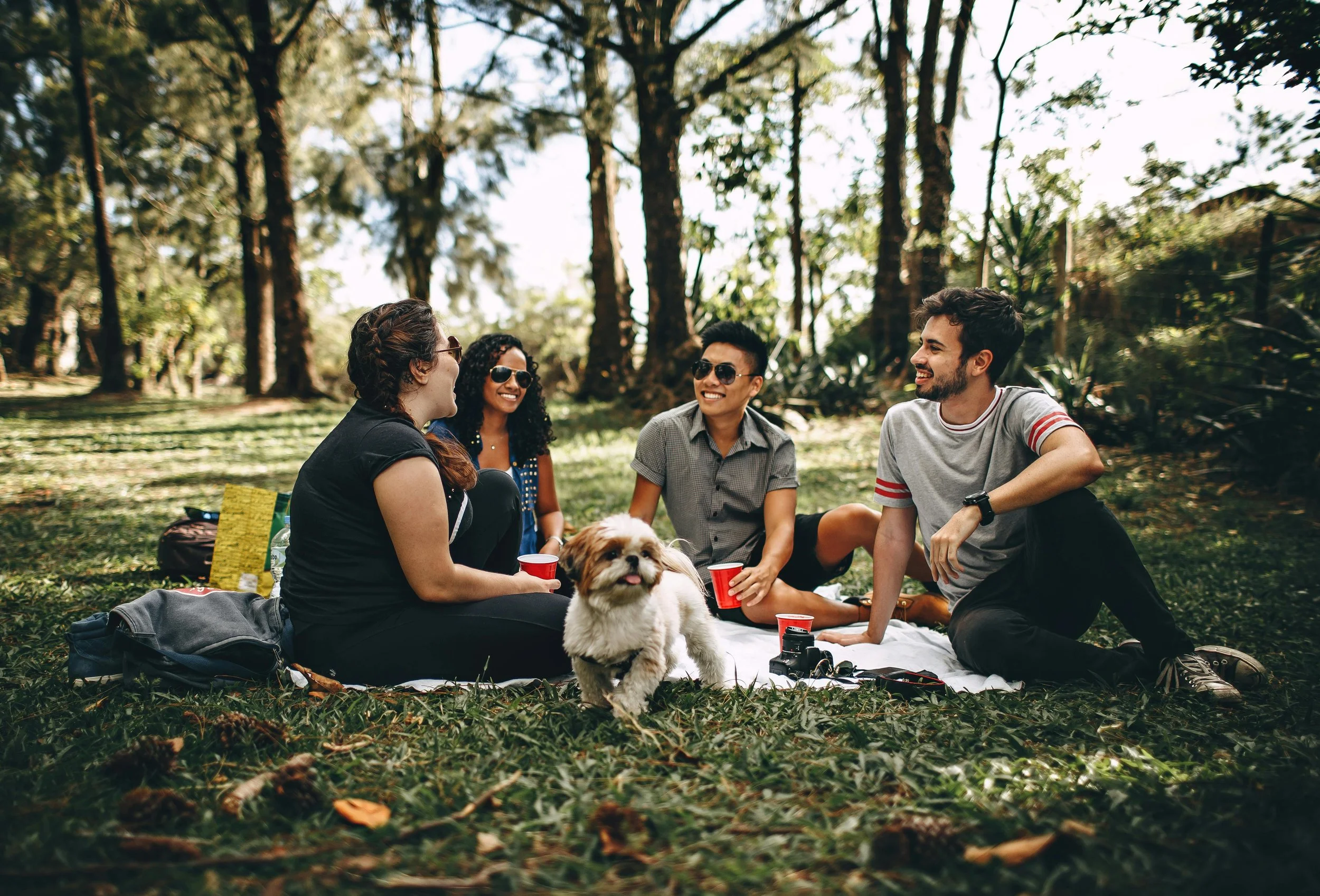 Friends relaxing together at a park picnic, representing building adult friendships and overcoming social anxiety in San Francisco.