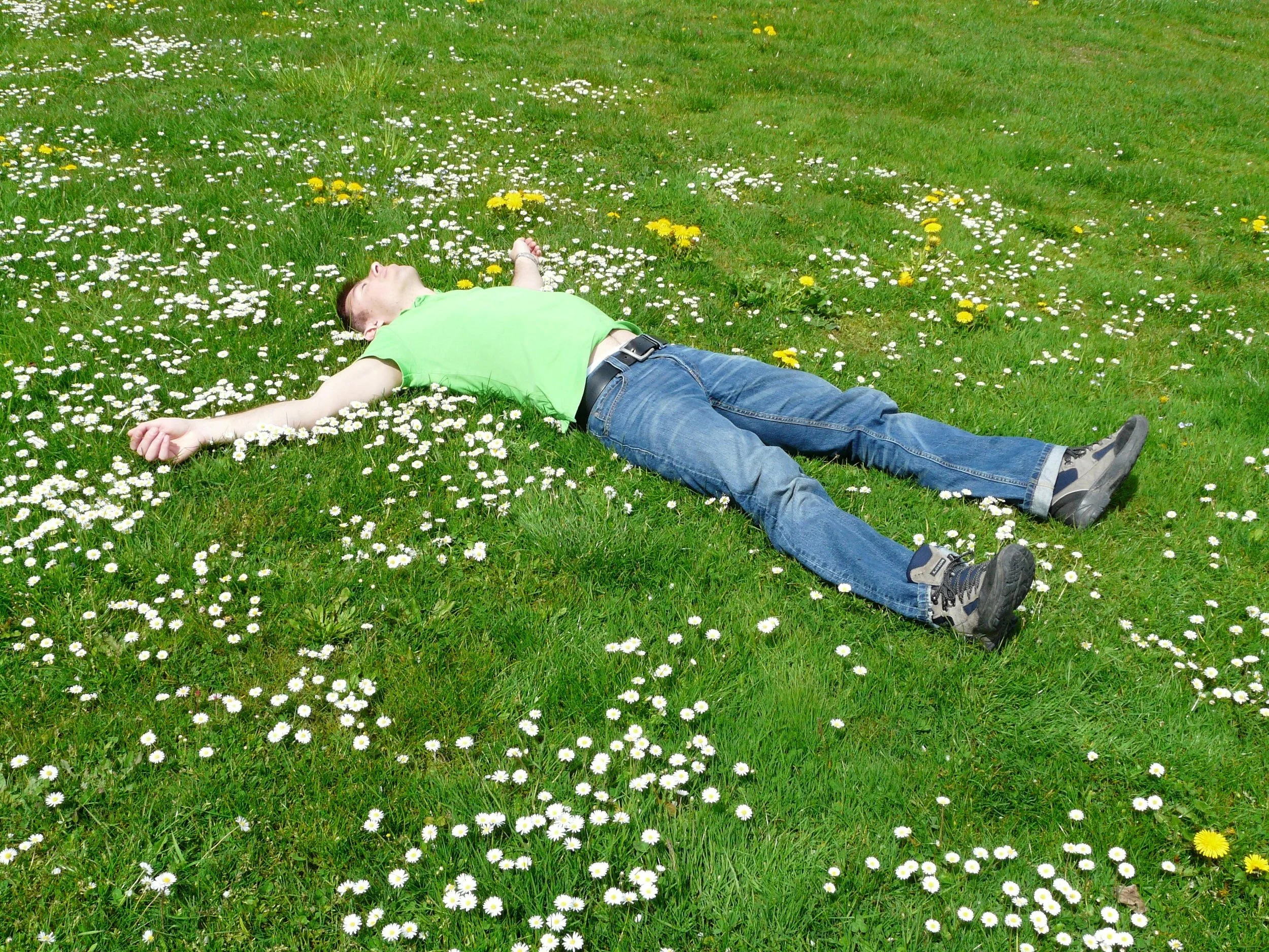 Beyond Survival Mode: A Psychodynamic Understanding of Post-Trauma Living