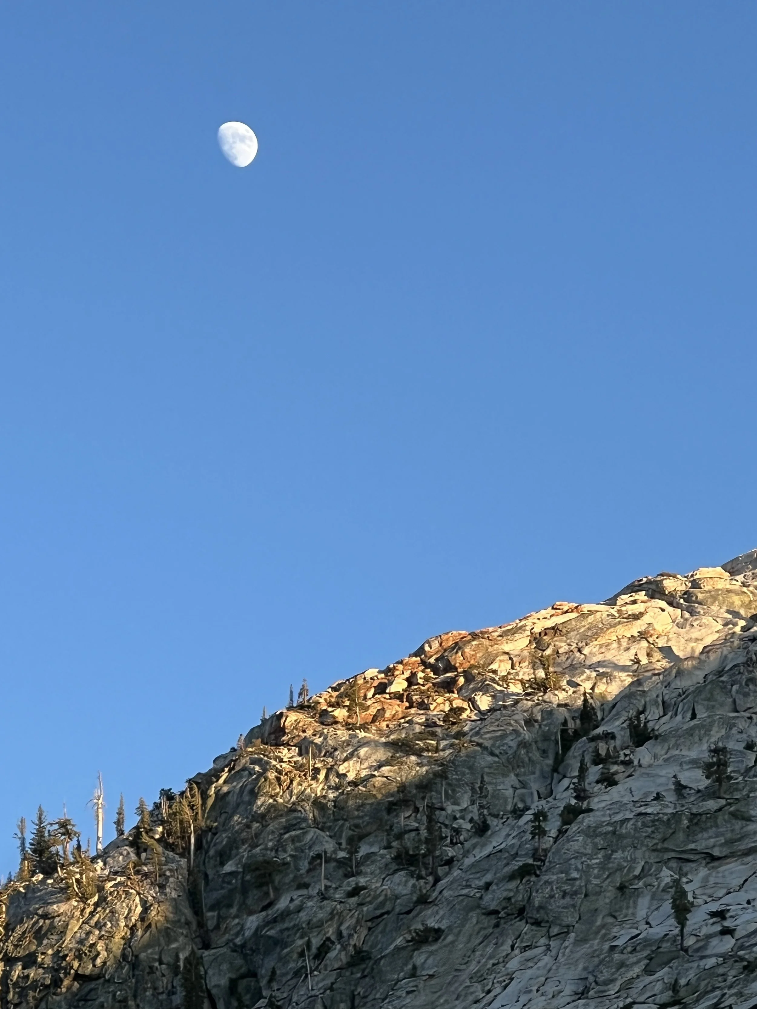 A rugged mountain slope with sparse trees under a clear blue sky, with the moon visible in the upper left corner.