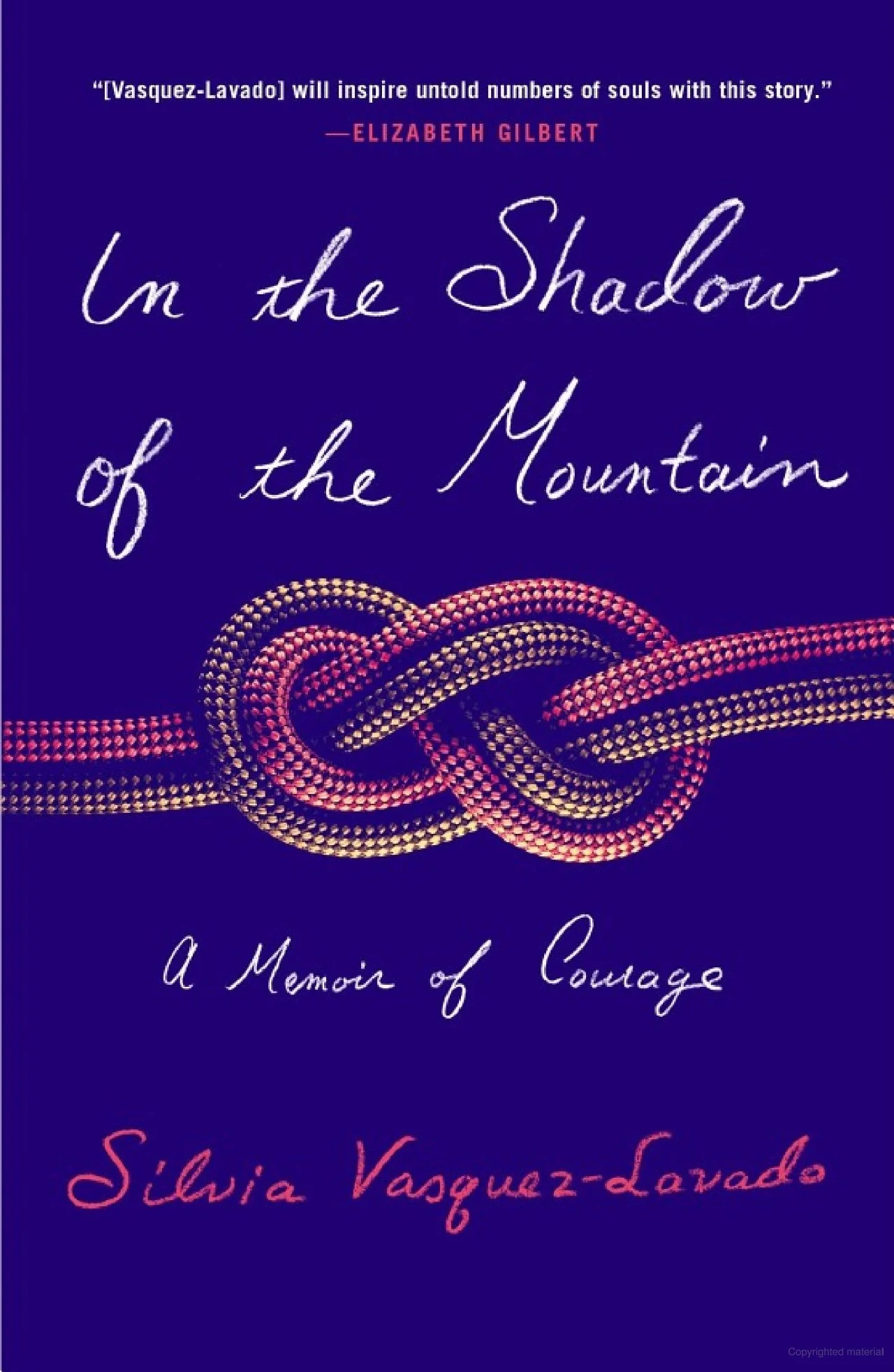 in the shadow of the mountain book cover.jpg