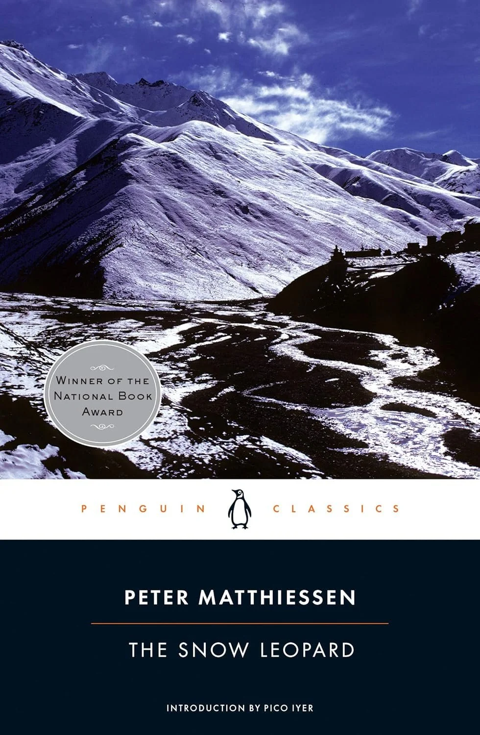 the snow leopard book cover.jpg