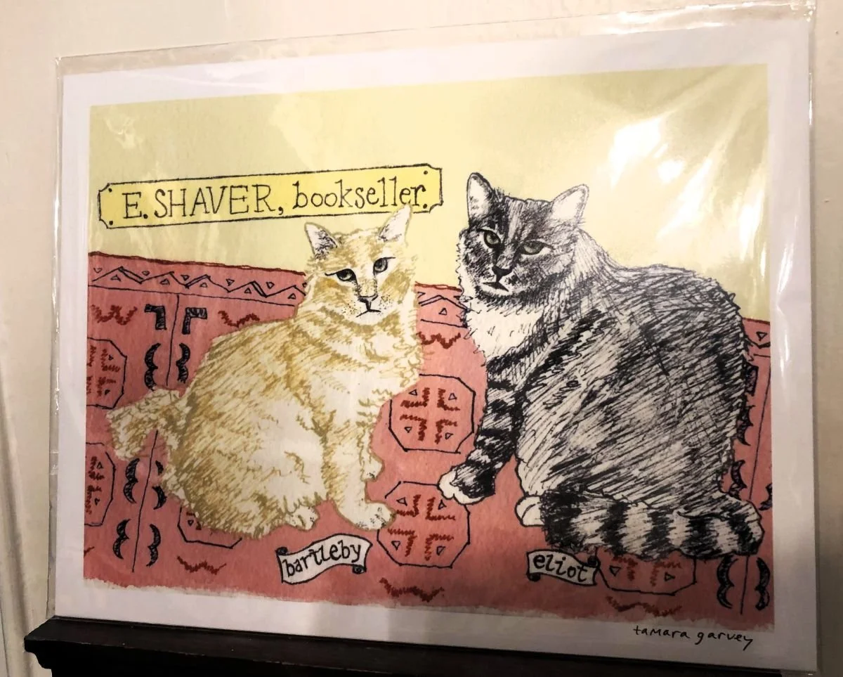 The World's Most Charming Bookstore Cats