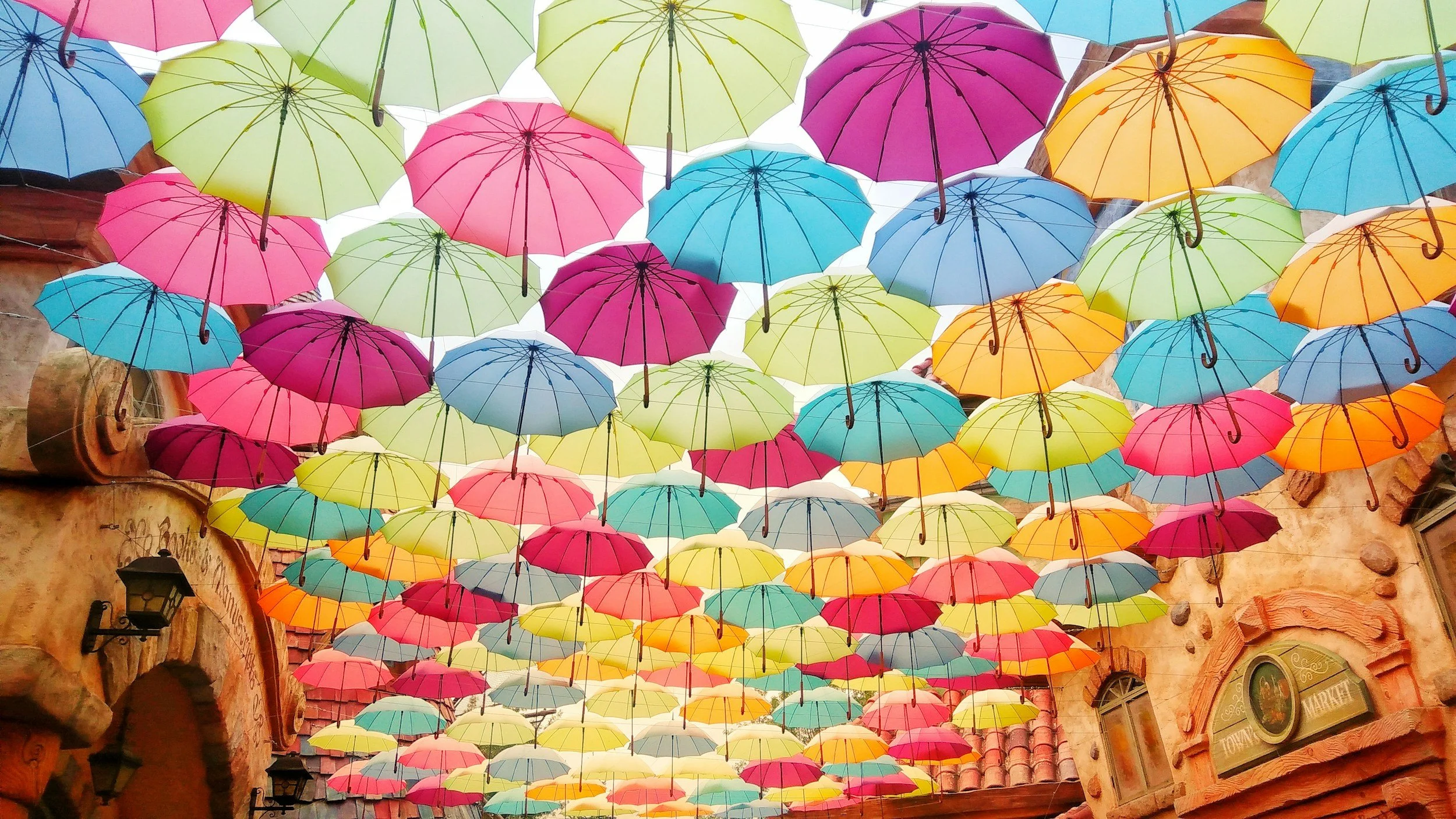 beautiful umbrellas organized in sky