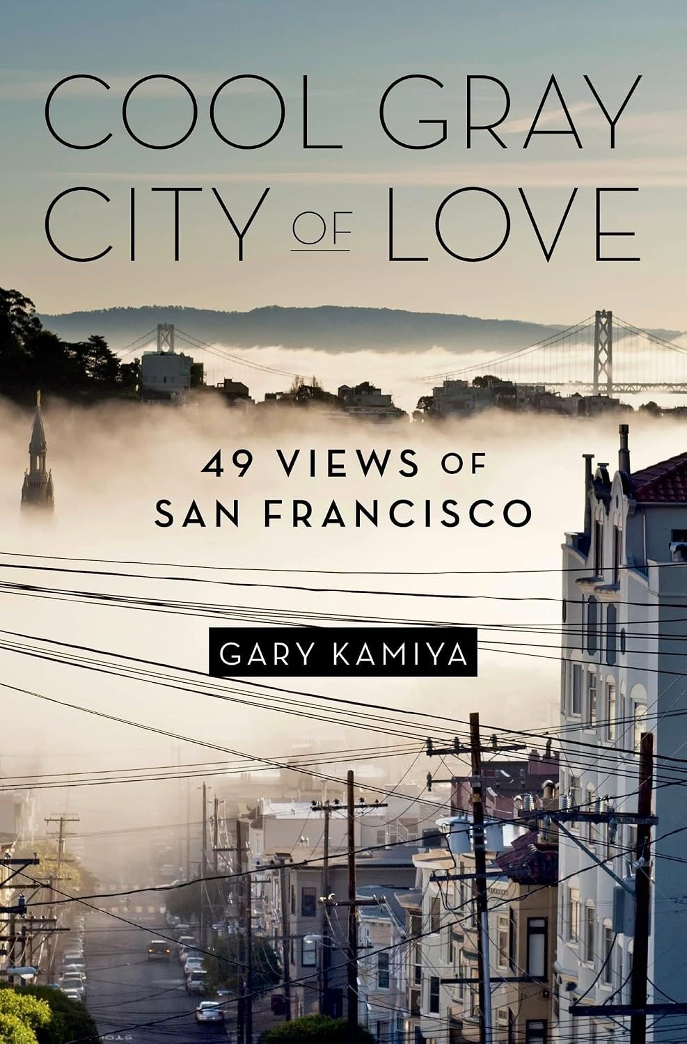 Cool Gray City of Love book cover