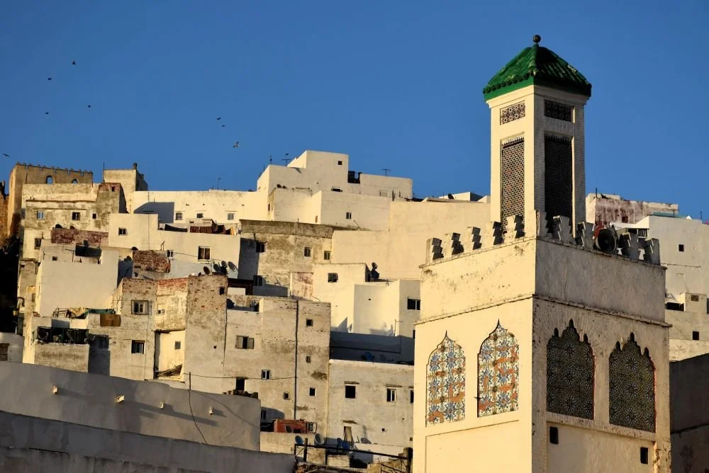 Mosque and houses in Tetouan, Morocco, 2025