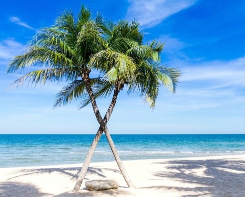 Caribbean