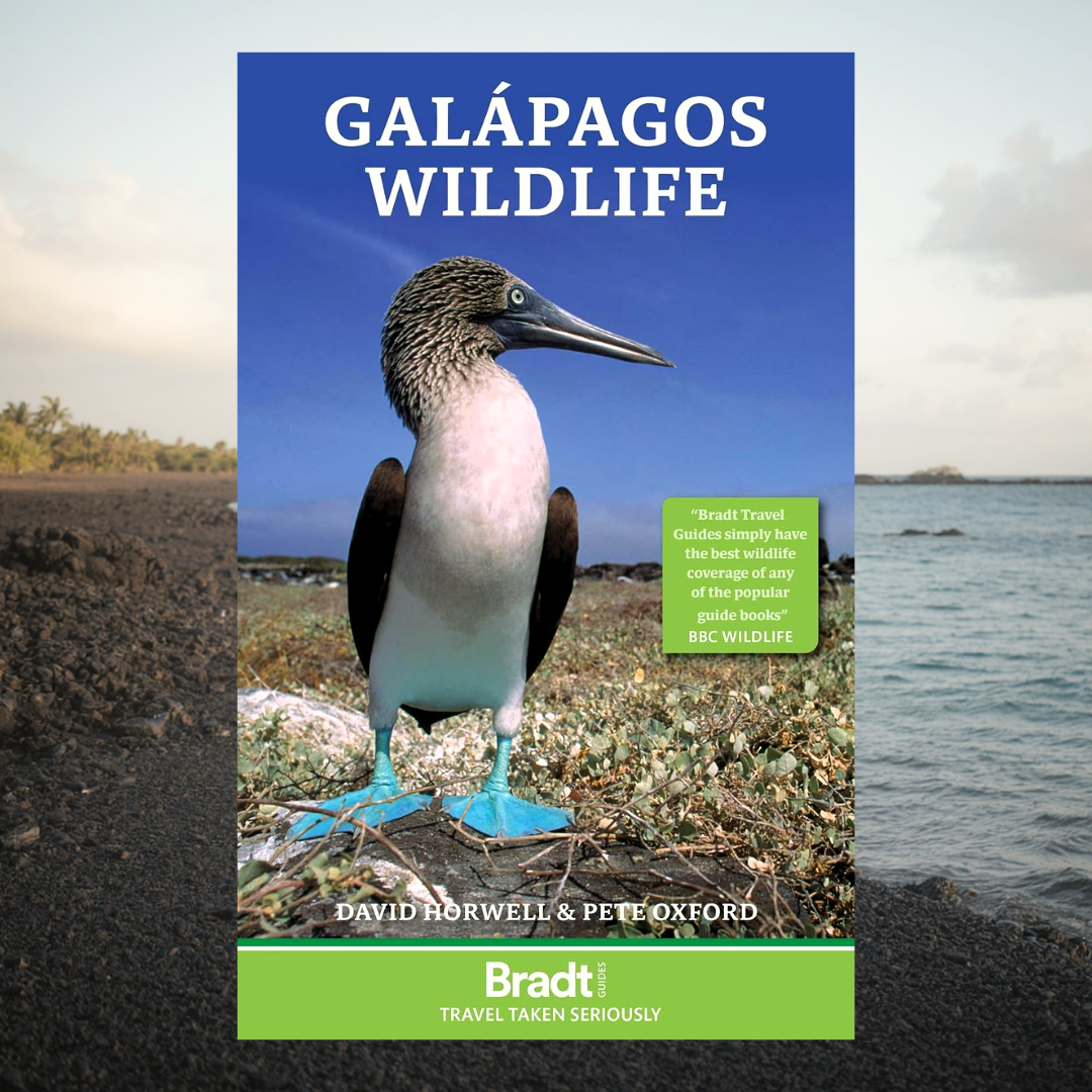 image of the Bradt Guide to Galapagos Wildlife