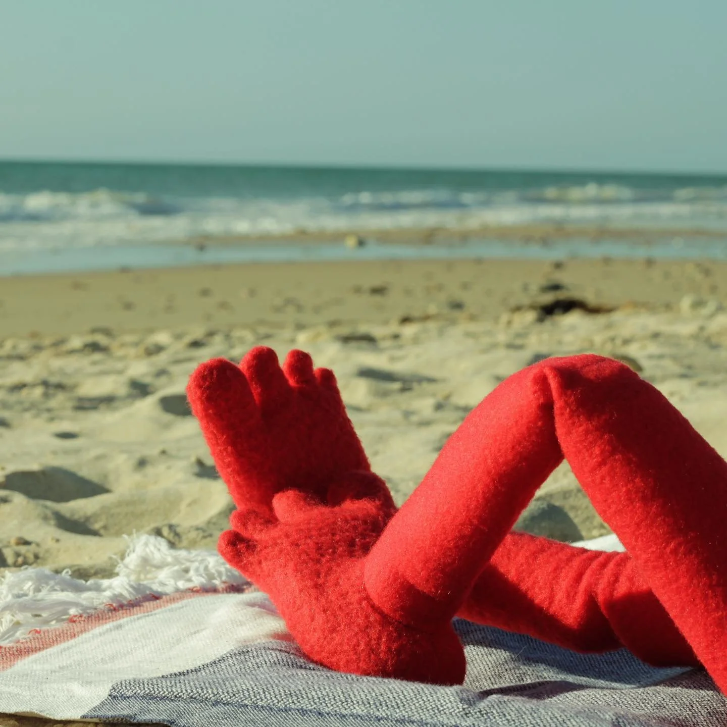 Beach days

🏖️

#onlyfelt #beachday #portwillunga #southaustralia #australia #southaustralianbeaches #feet #foot #toes #sandytoes #sandyfeet #sandy #puppet #sunbath #sunbathıng #sunbaking #healthyglow #felt #weirdart #puppetsofinstagram #puppetlife 