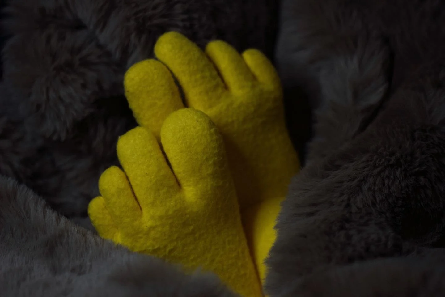 Cosy mornings 

💛

#onlyfelt #fluffy #blankets #keepcosy #cosy #homedays #feet #foot #toes #greektoes #longtoes #barefeet #feltfeet #ifeltthat #felt #puppet #weirdart #whydoesthisexist #yellow #adelaide #southaustralia #australia