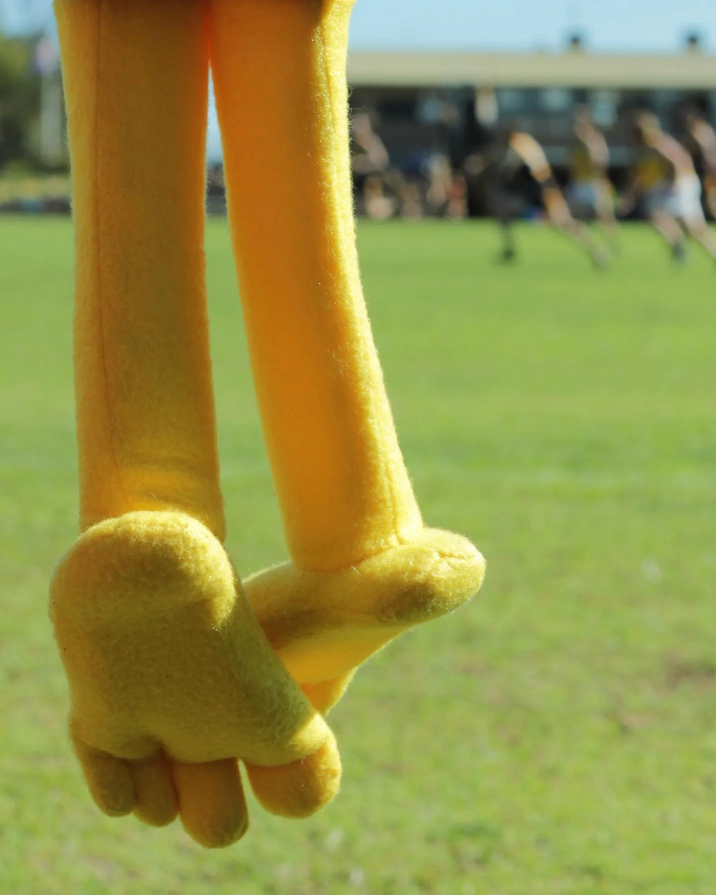 Footy fangirl. Go sharks! 🦈 

#footy #cutefeet #softsoles #longtoes