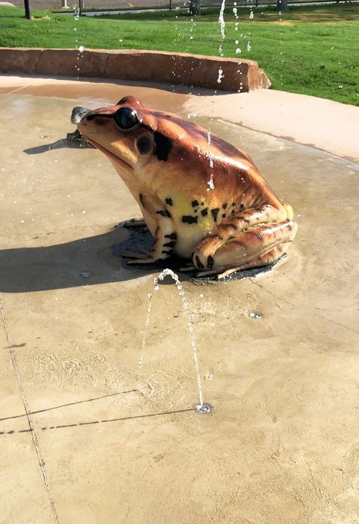 wfbd-water-features-by-design-australia-waterplay-splash-pad-water-playgrounds-commercial-spray-park-design-ground-sprays-interactive-water-features-childcare-centre-community-play-spaces-nature-play-aquatic-play-equipment