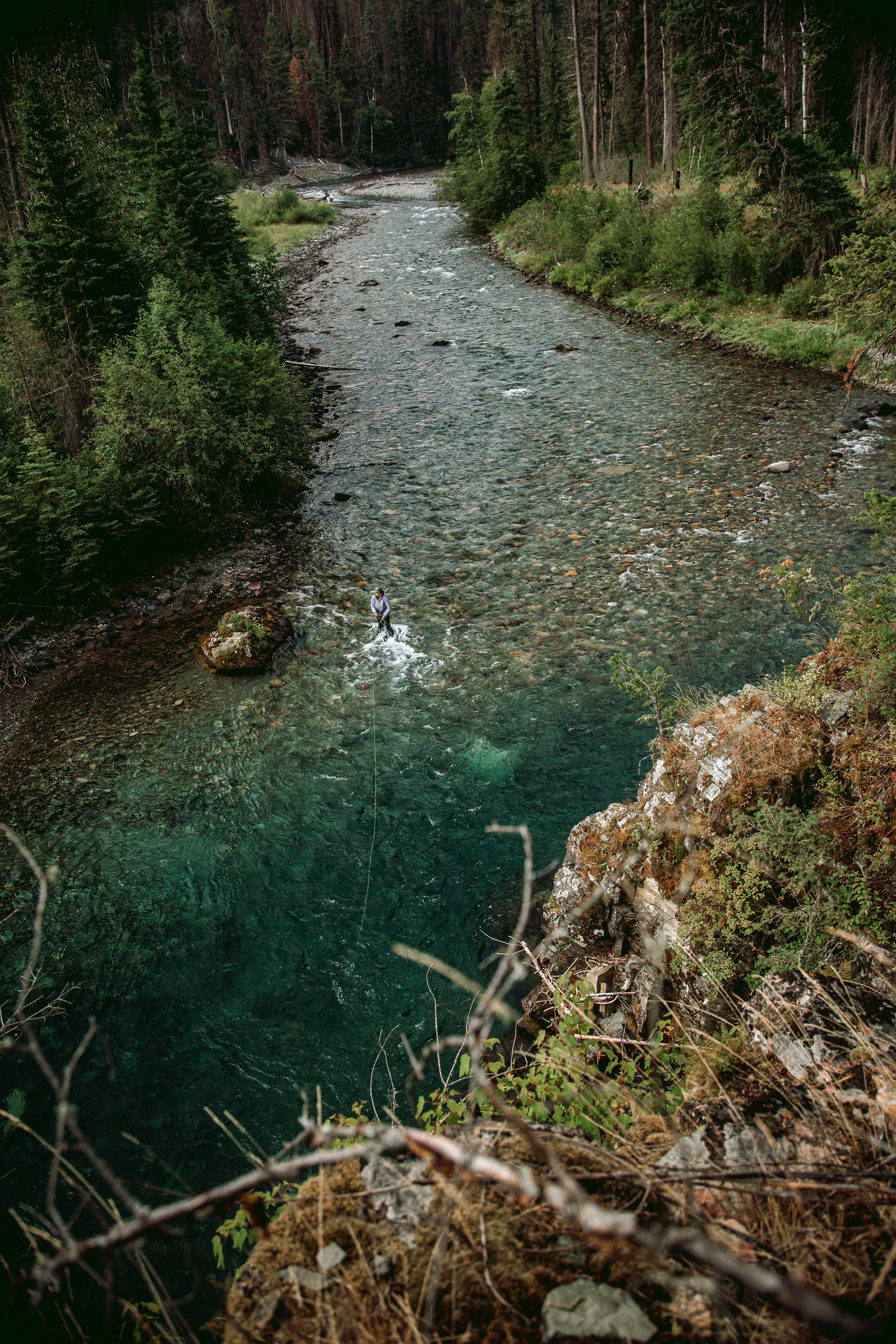 A person standing in a river with clear water, surrounded by dense forest and trees.