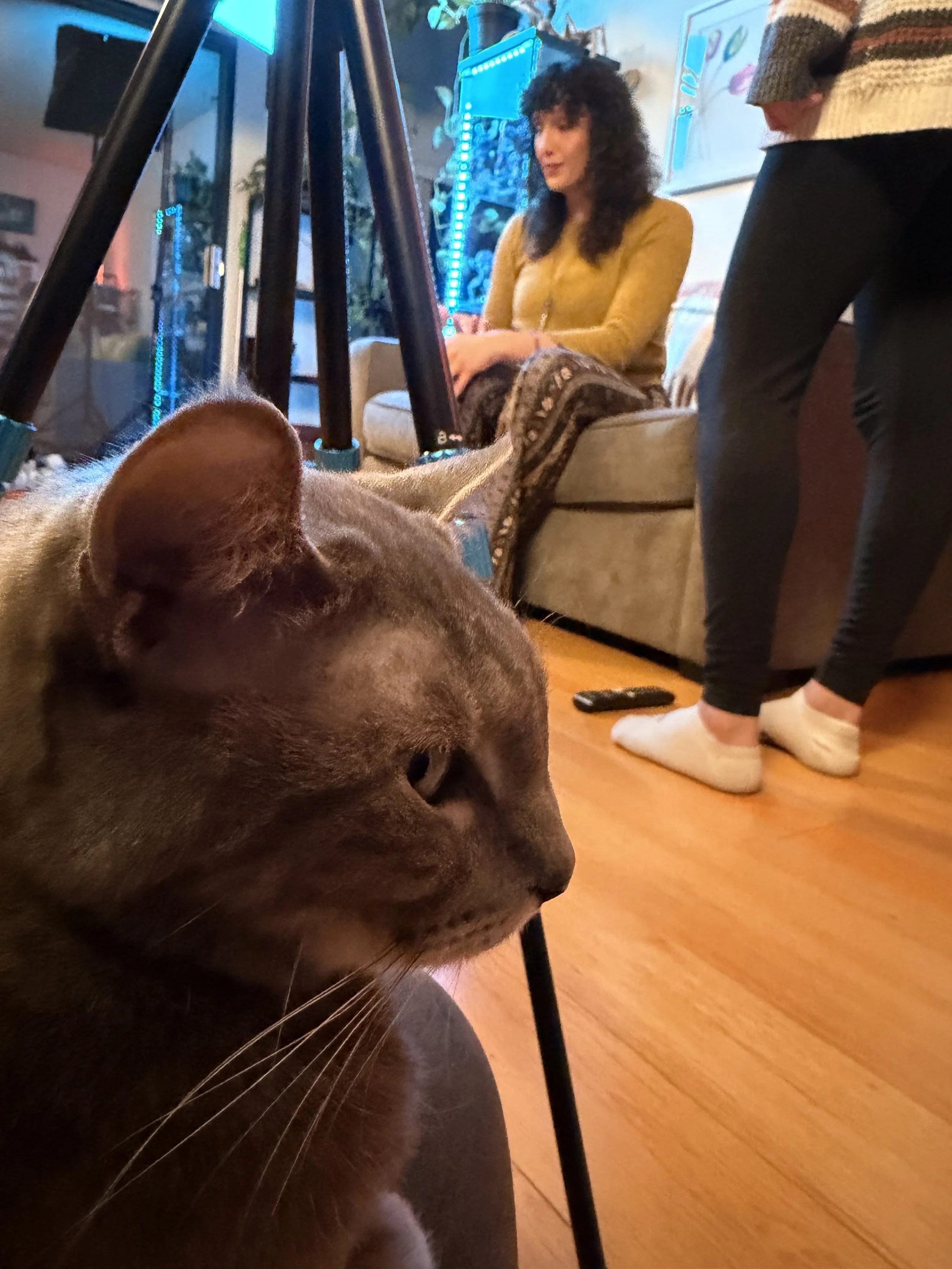 Behind-the-Scenes of "Roommates" Horror Short | Kelsey Peterjohn & Chelsea Beller (& Rigby)