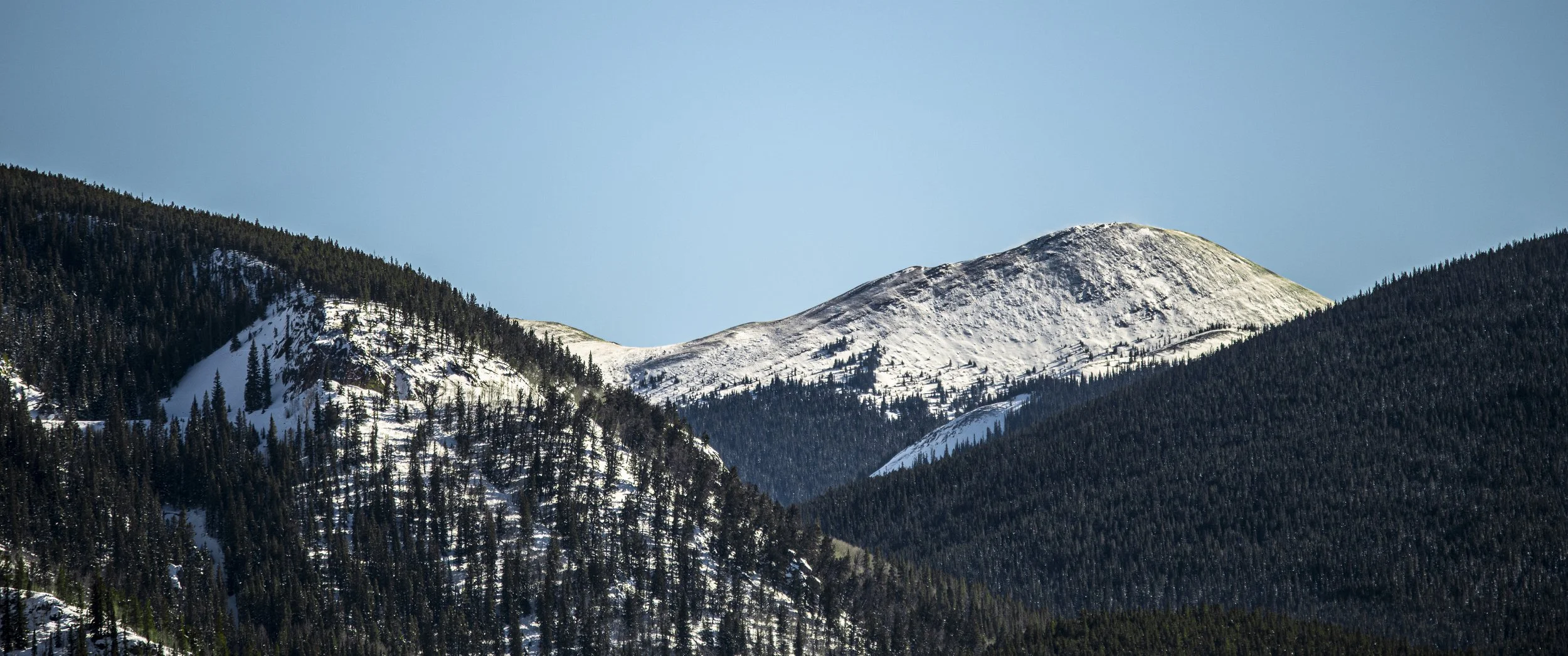DSC_0743-108.jpg
