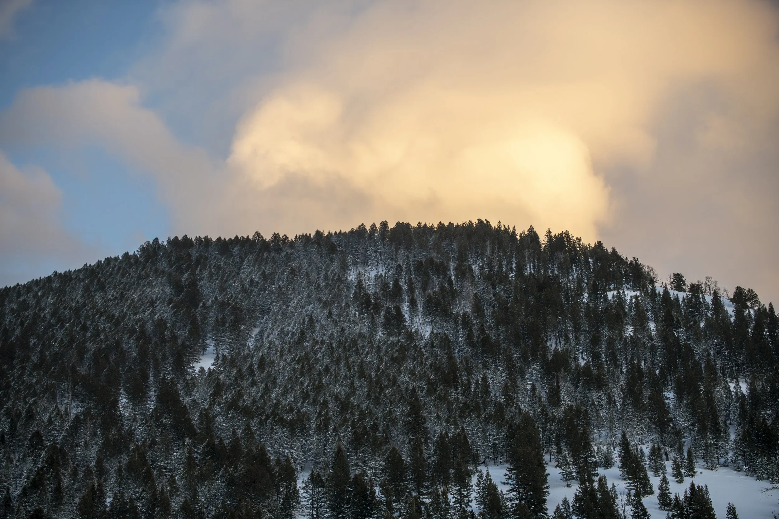 DSC_7888-6-1.jpg
