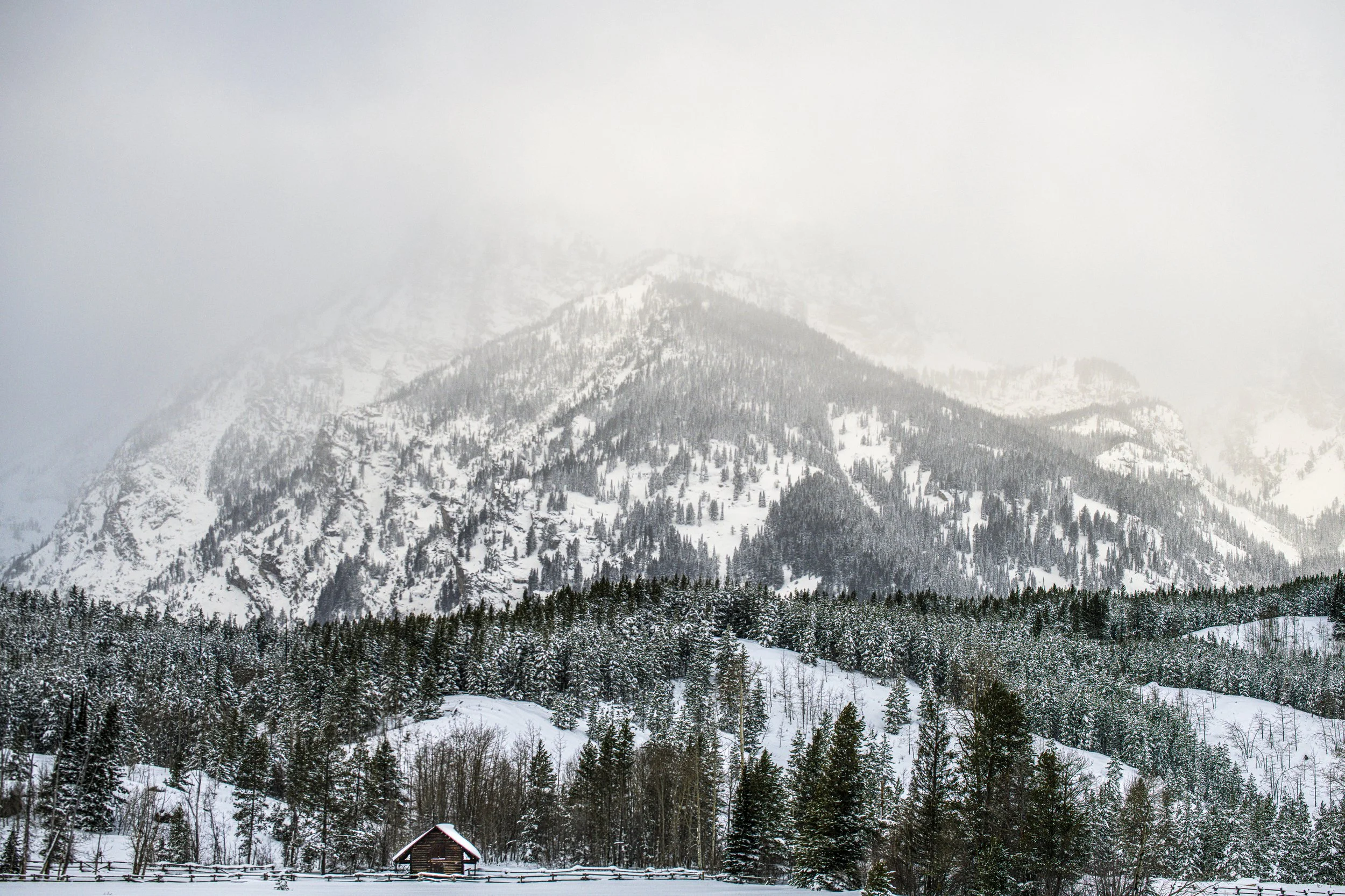 DSC_7795-2-1.jpg