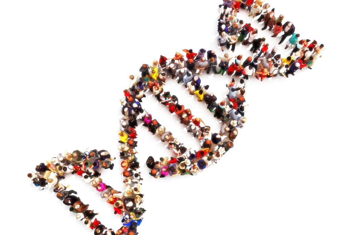 A double helix shape formed by a diverse crowd of people, representing the blueprint of an organisation.