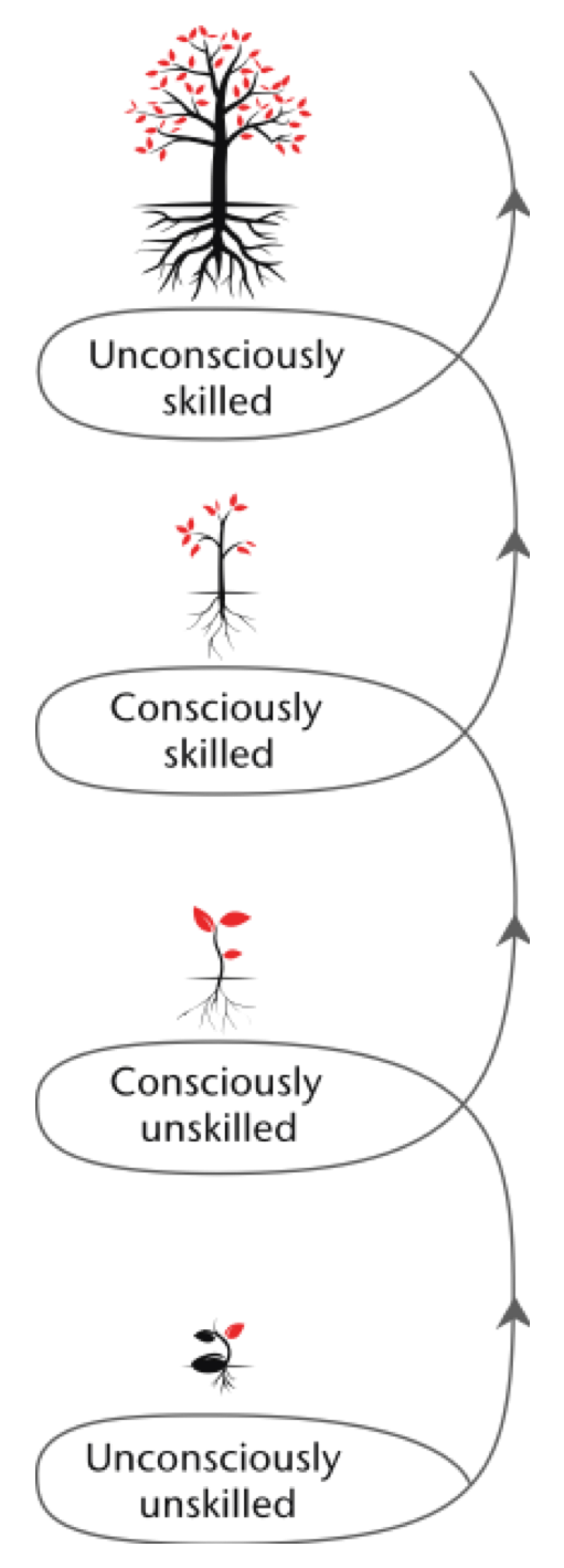 Flowchart illustrating the stages of skill acquisition, from unconsciously unskilled to unconsciously skilled.