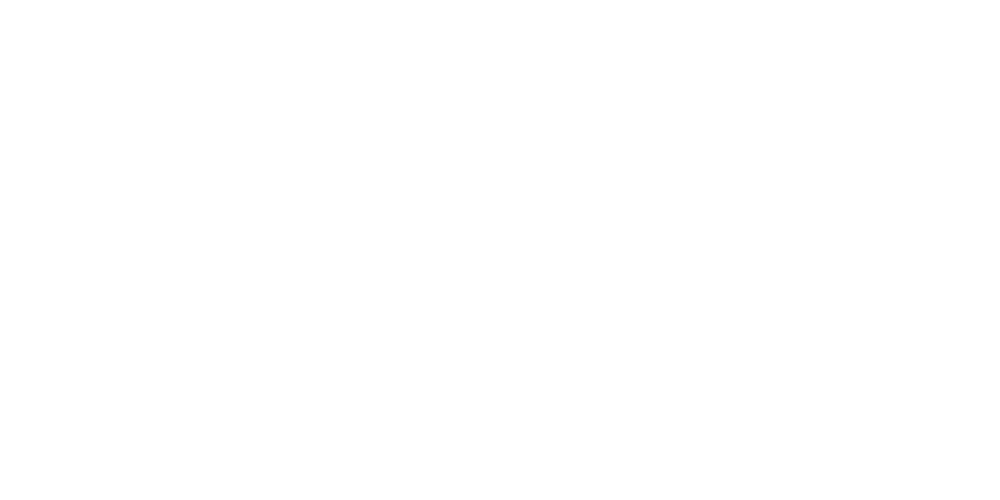 The word 'BLITZ' in black capital letters with a stylized icon of three stacked rectangles forming a stack to the right of the word.